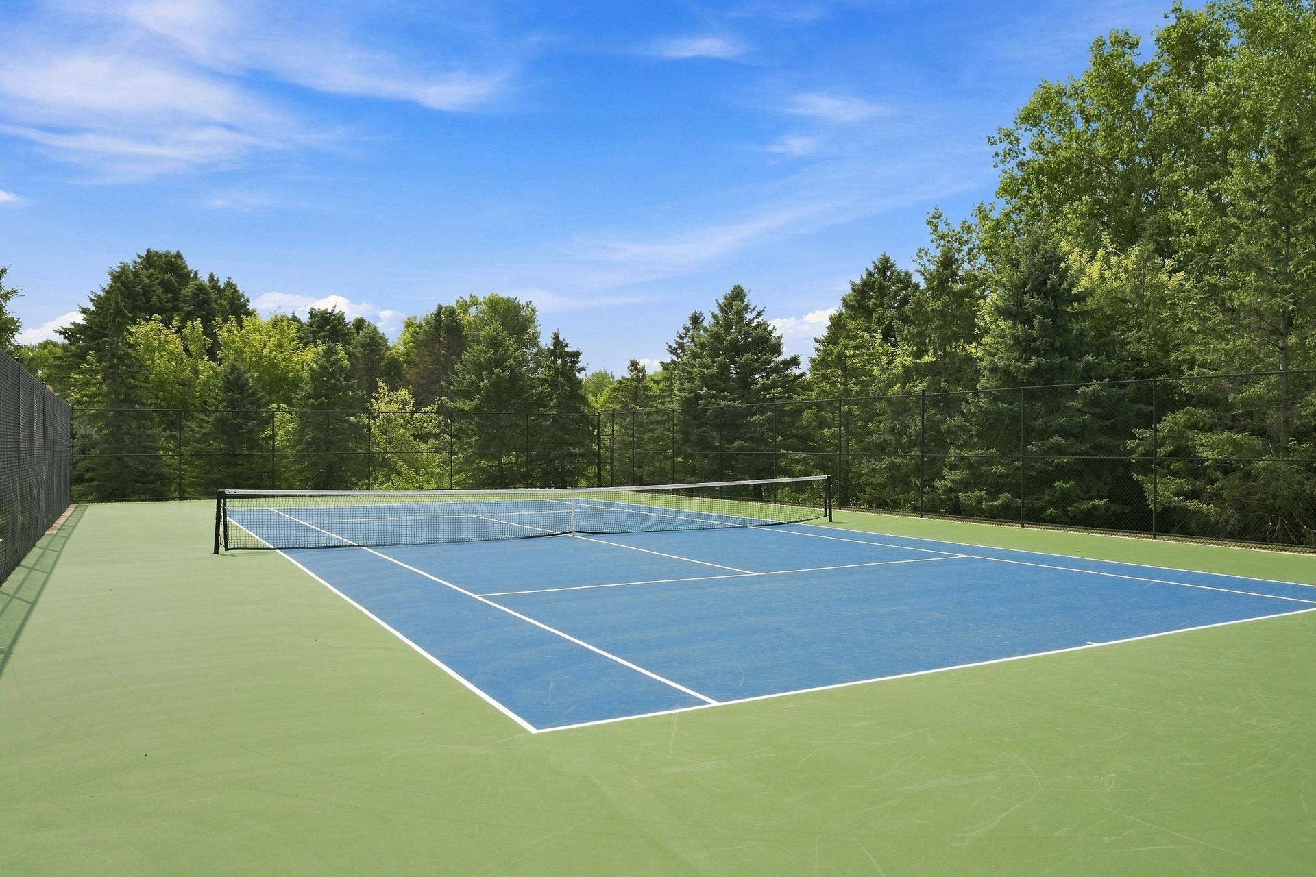 11021 Oak Grove Circle #C, Woodbury, MN 55129 Bailey's Arbor - Tennis Court