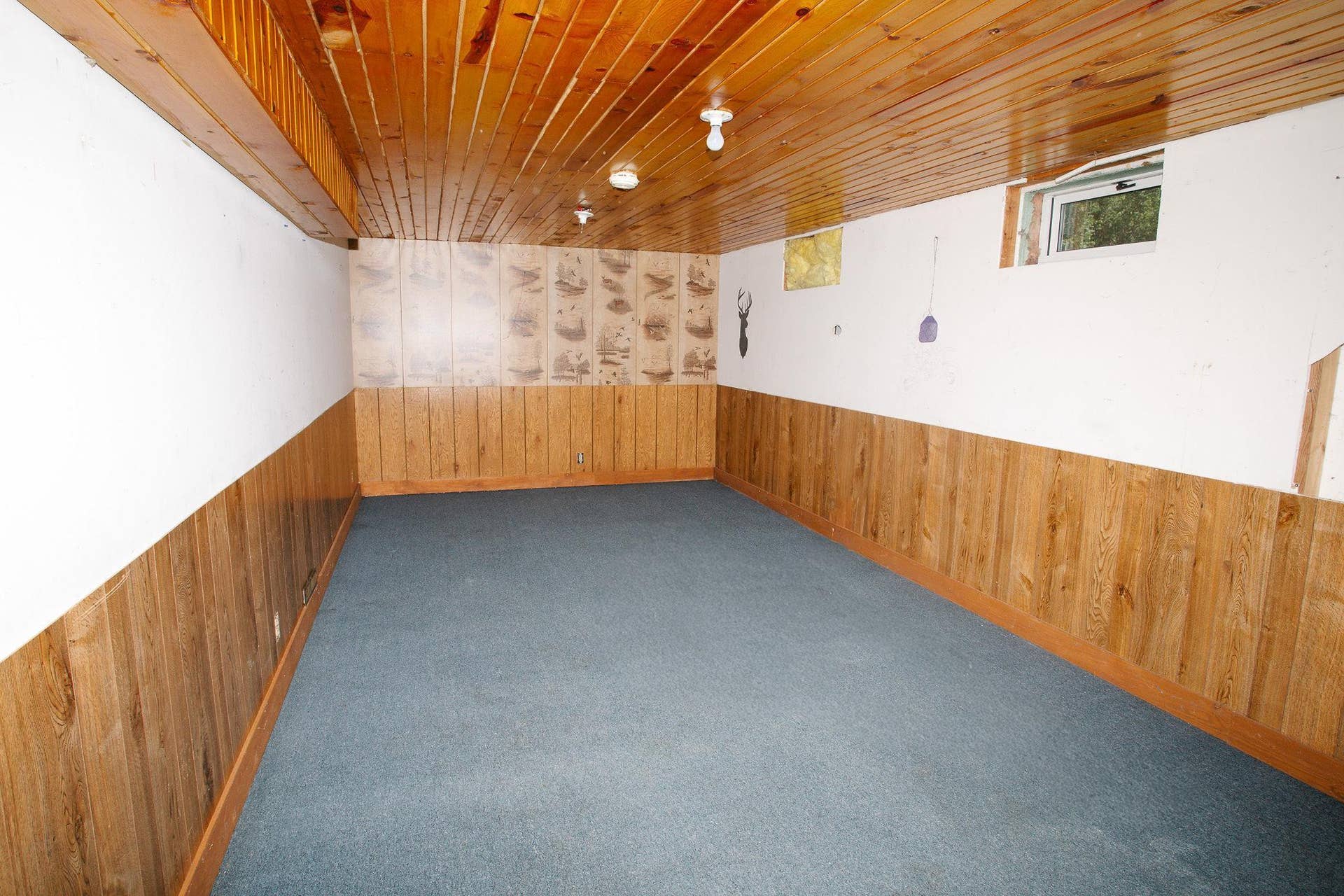 11268 Cohen Loop NW, Bemidji, MN 56601 022A0513.jpg