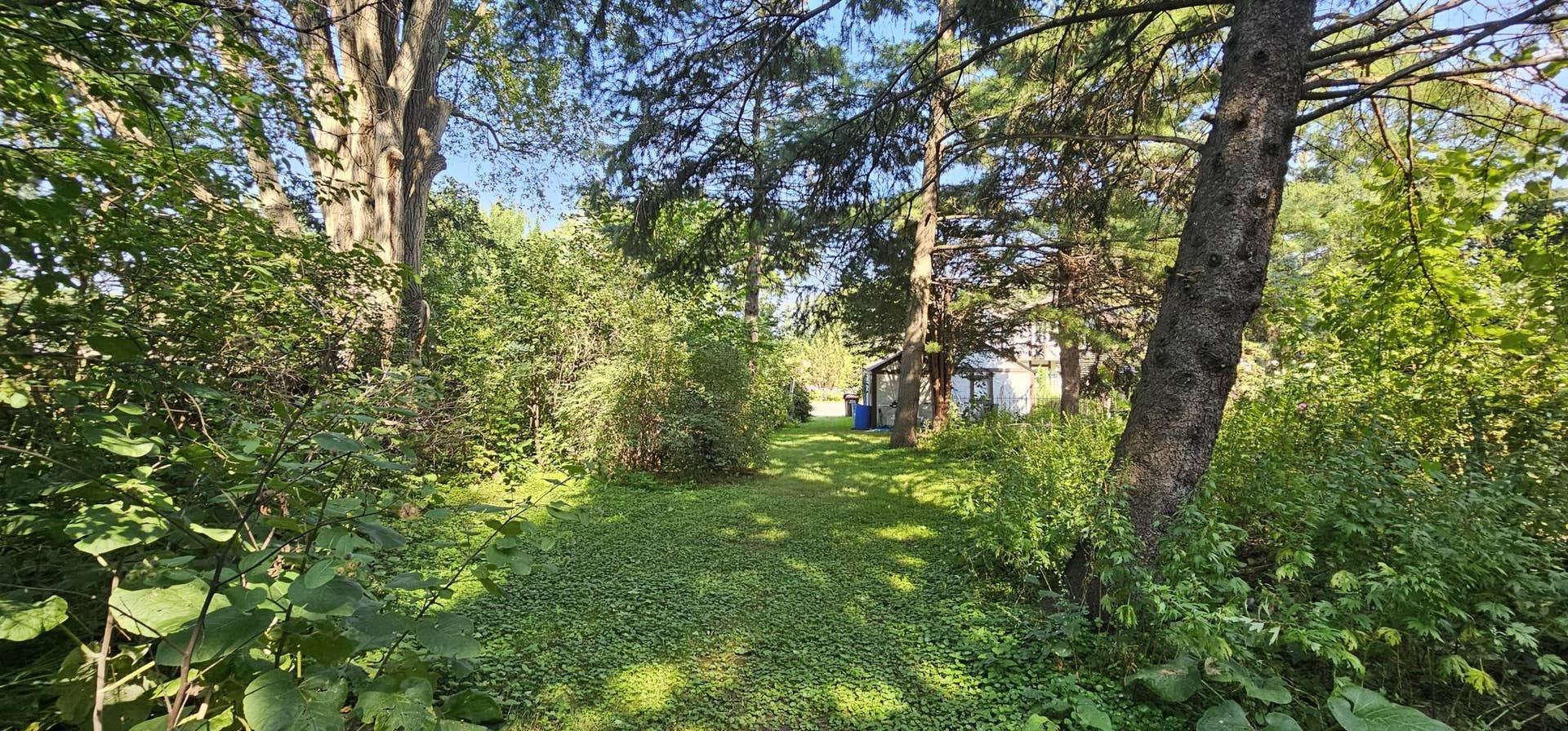 571 Century Avenue N, Maplewood, MN 55119 Walk Way Back to House.jpg
