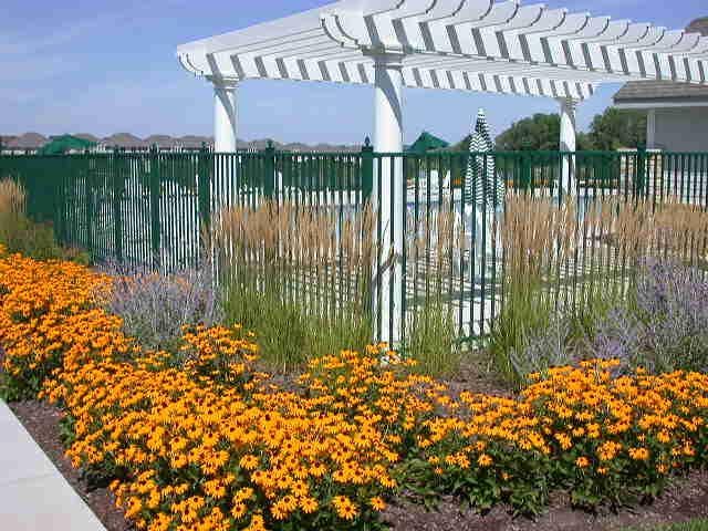 arbor.JPG