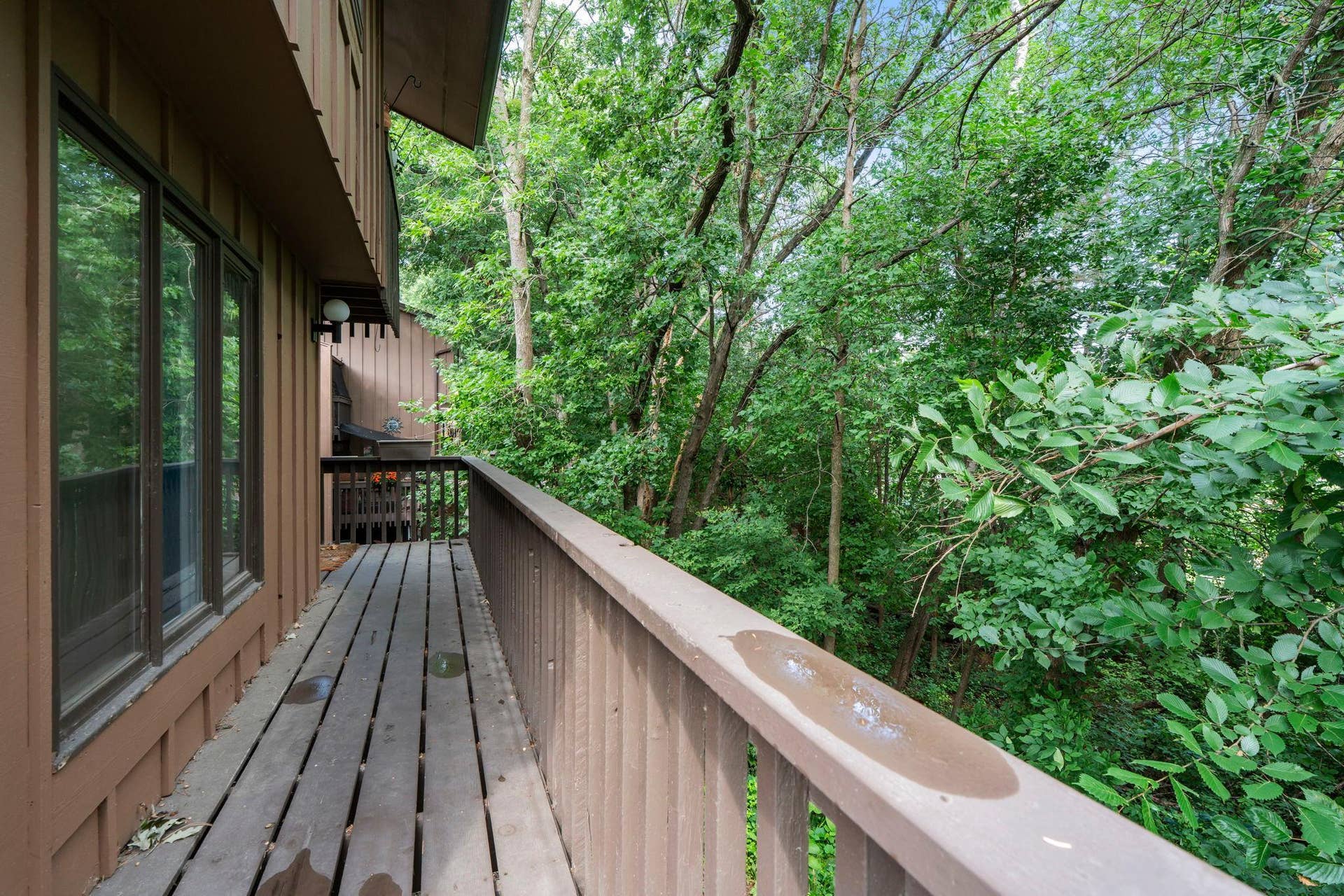 Back Deck area