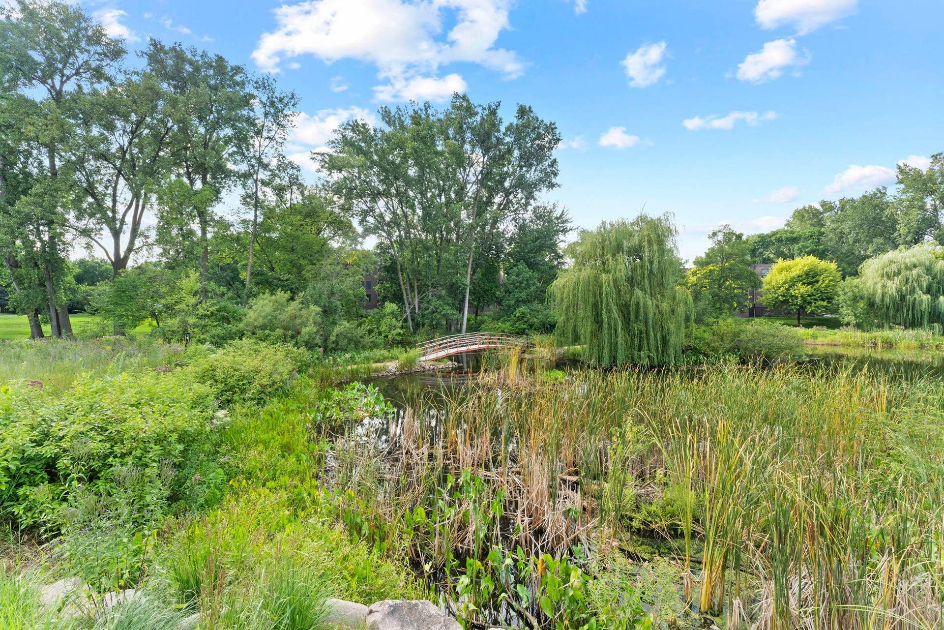 8549 Irwin Road, #126, Bloomington, MN 55437 Serene beauty
