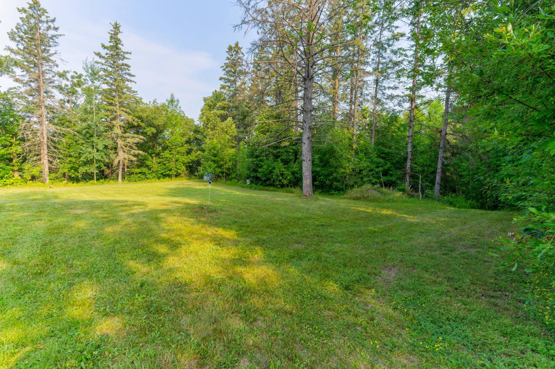 18421 Irvine Avenue NW, Bemidji, MN 56601 Yard.jpeg
