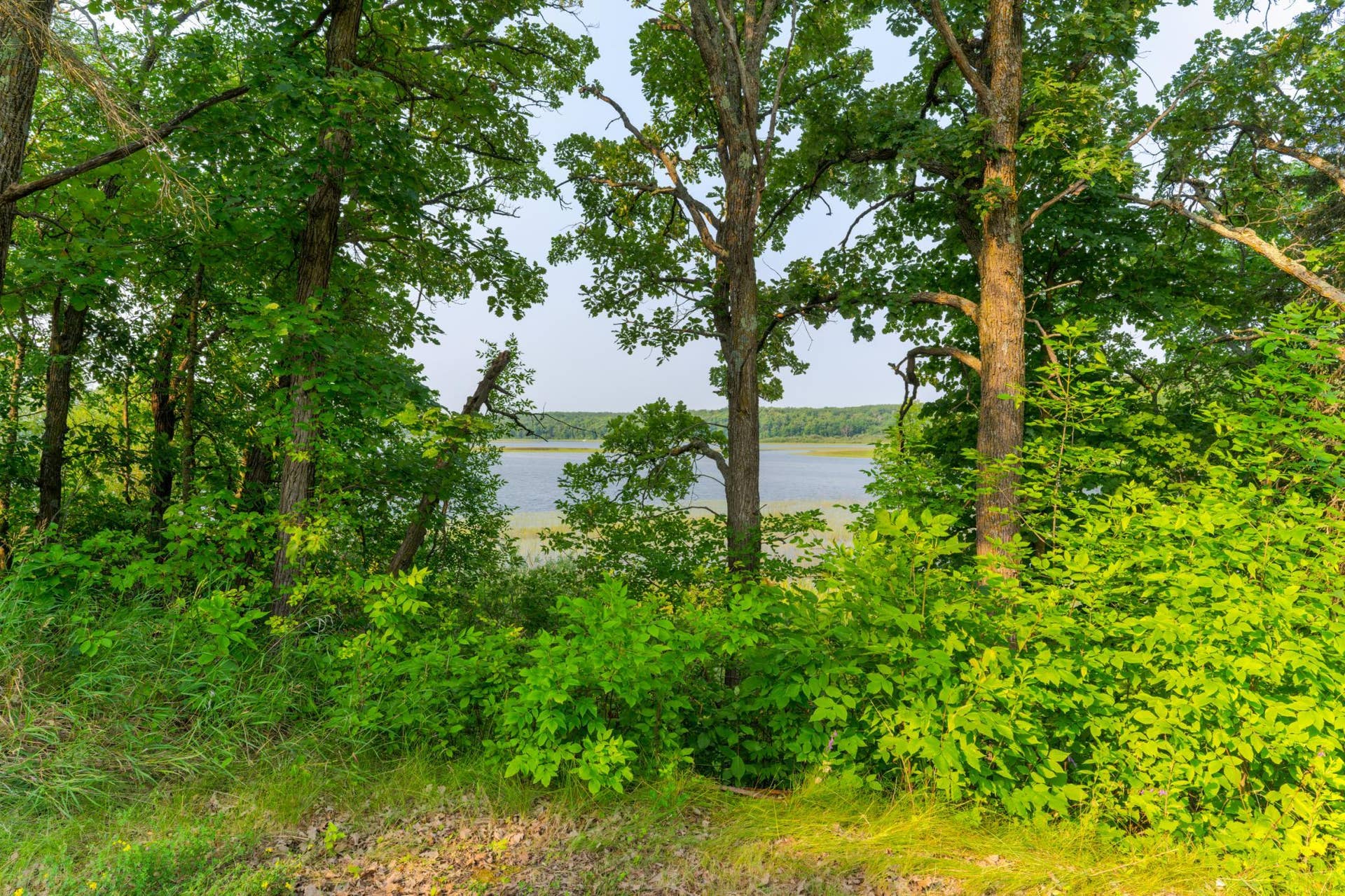 18421 Irvine Avenue NW, Bemidji, MN 56601 Little Turtle Lake View.jpeg