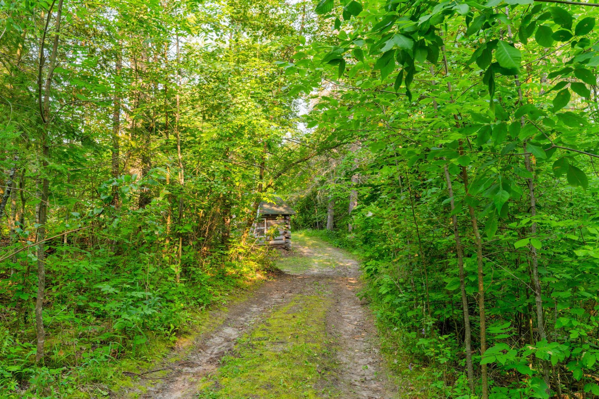 18421 Irvine Avenue NW, Bemidji, MN 56601 Trail to Lake.jpeg