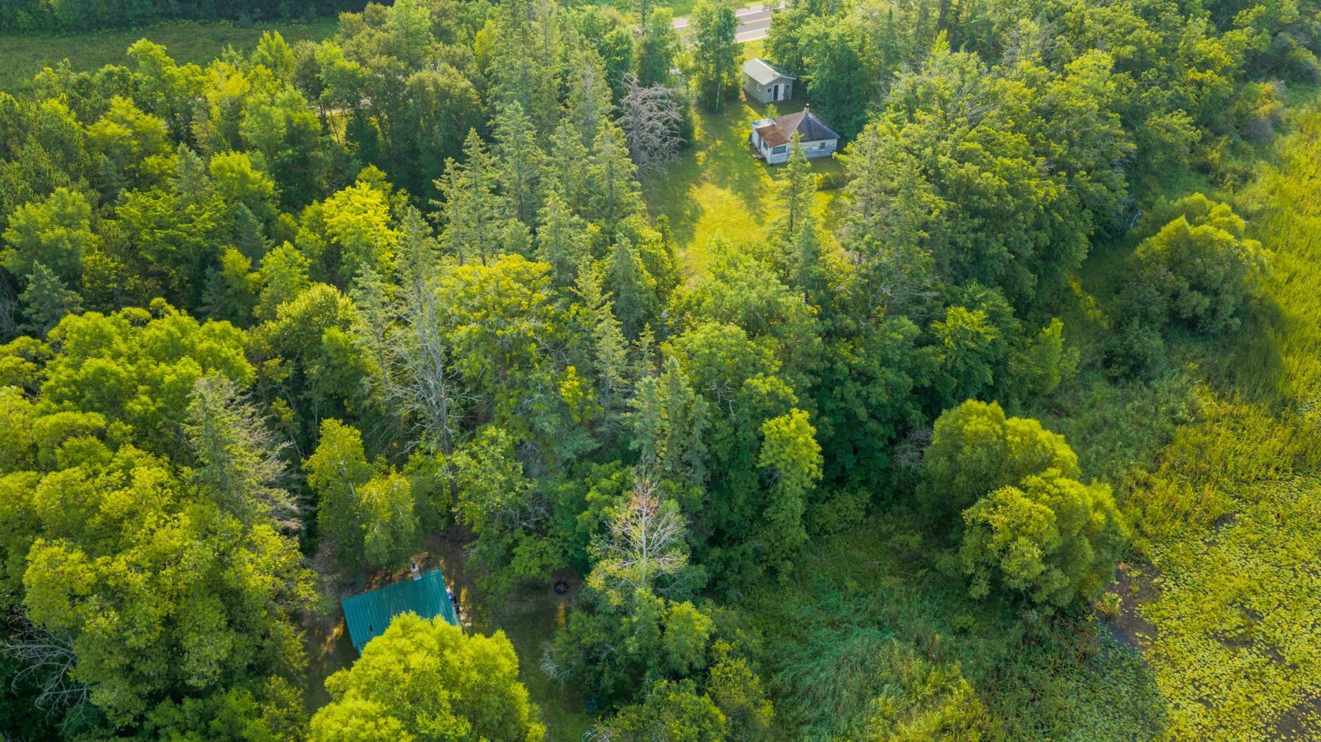 18421 Irvine Avenue NW, Bemidji, MN 56601 Aerial View of Both Cabins.jpeg
