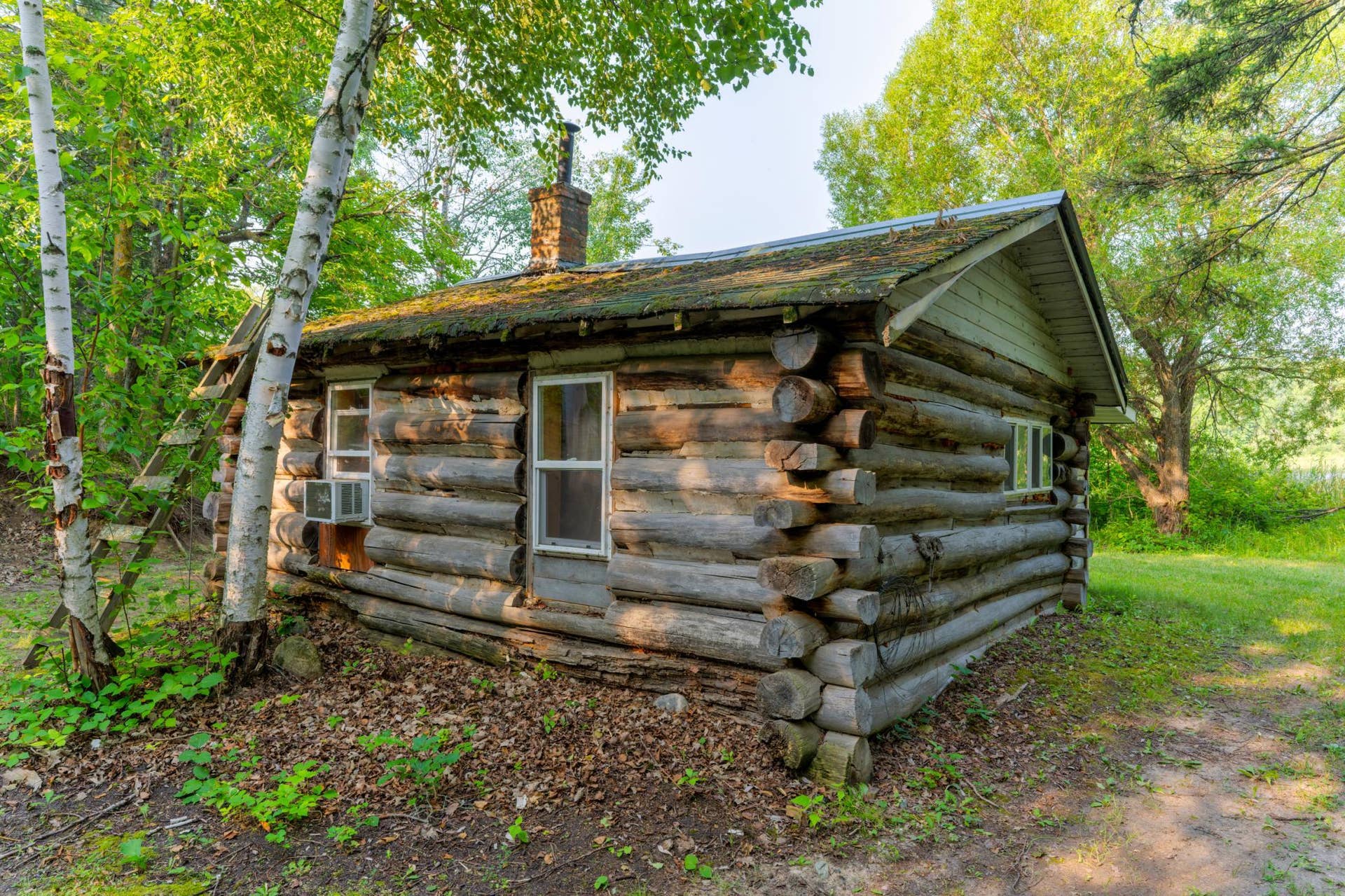 18421 Irvine Avenue NW, Bemidji, MN 56601 Lower Level Cabin.jpeg