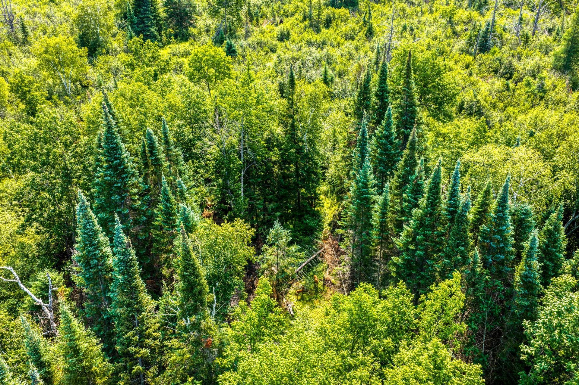 TBD Irvine Avenue, Bemidji, MN 56601 DJI_20260810111610_0045_D.jpg