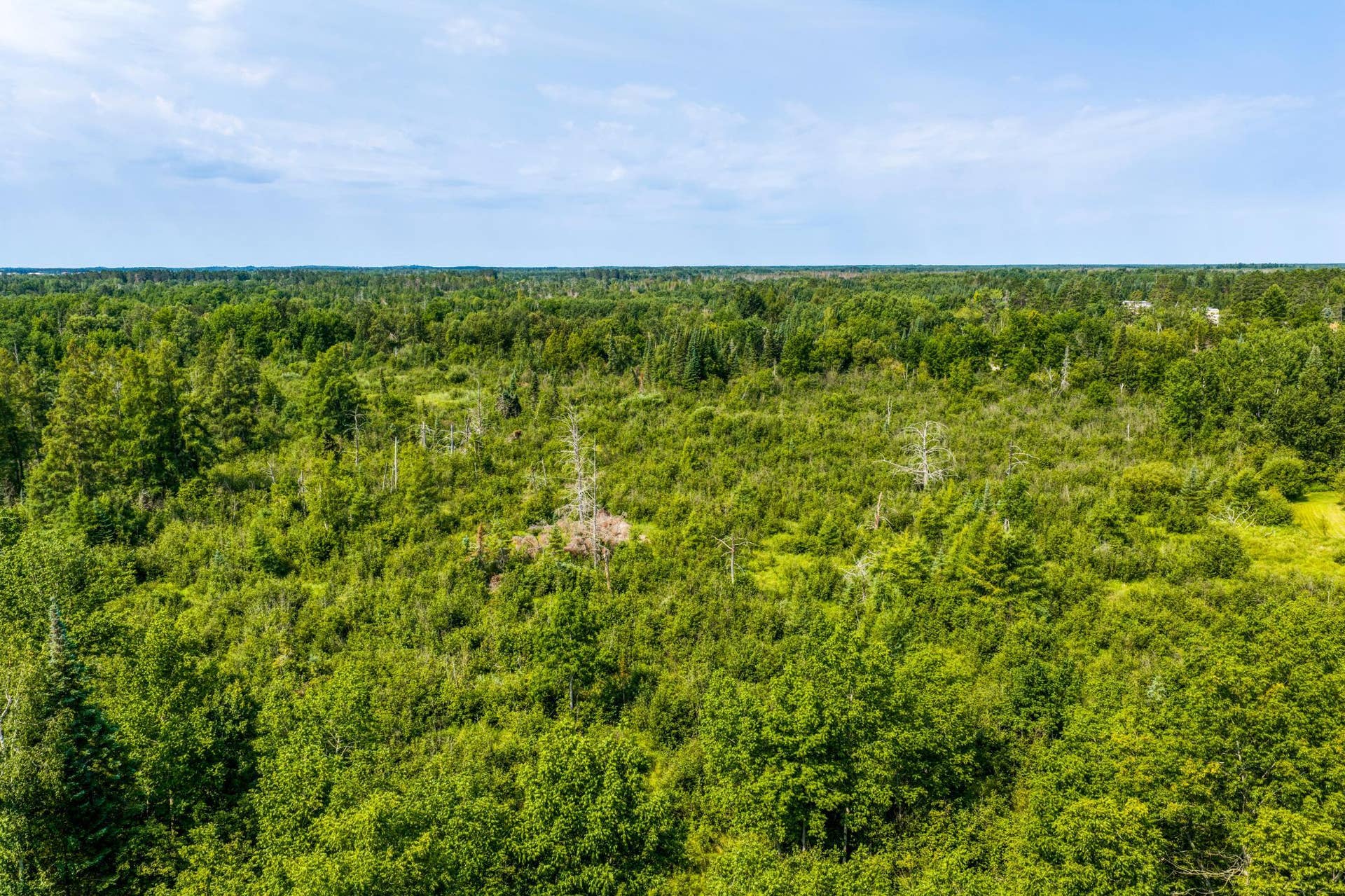 TBD Irvine Avenue, Bemidji, MN 56601 DJI_20260810111405_0035_D.jpg