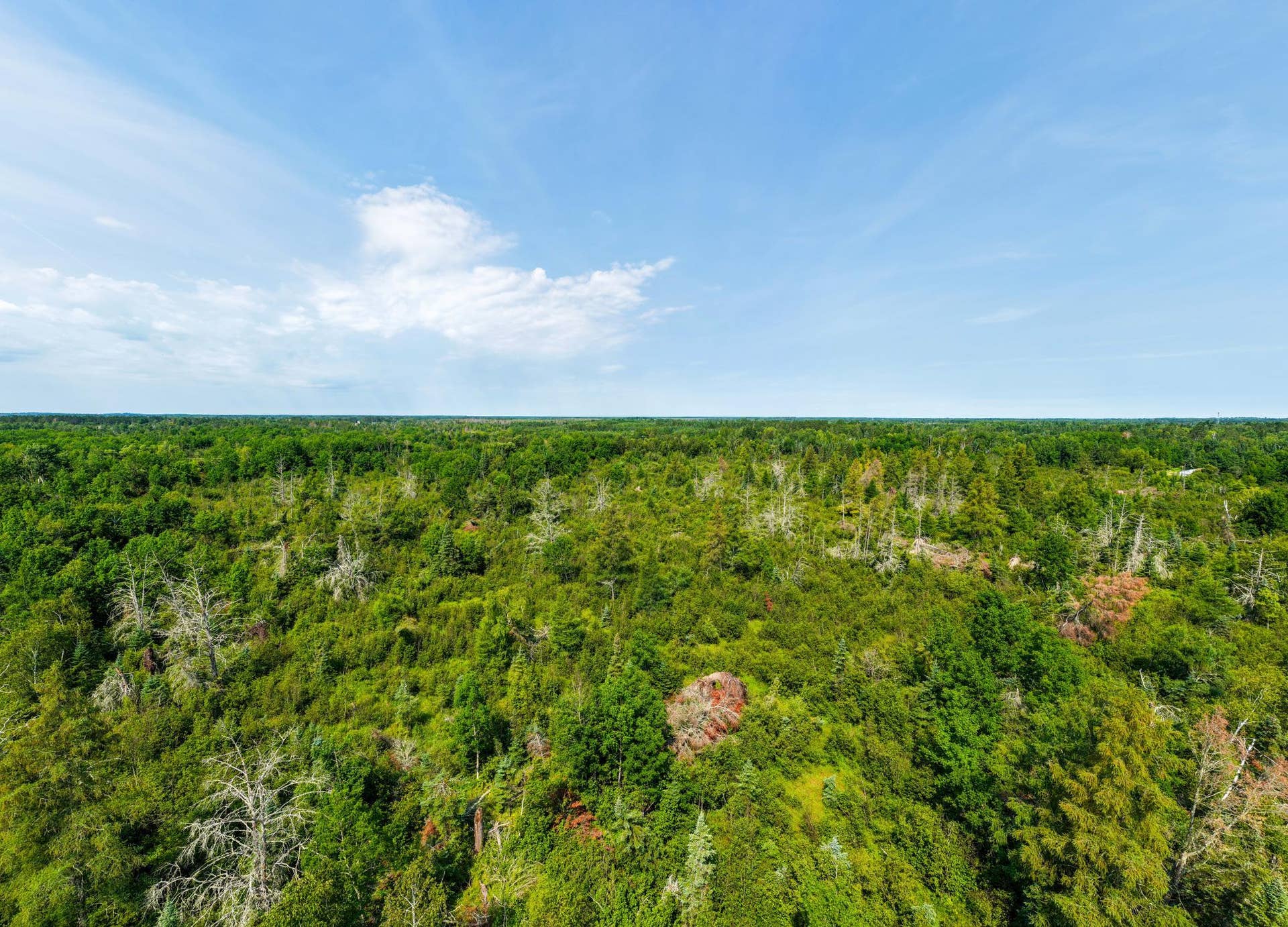TBD Irvine Avenue, Bemidji, MN 56601 DJI_20260810112519_0082_D.jpg