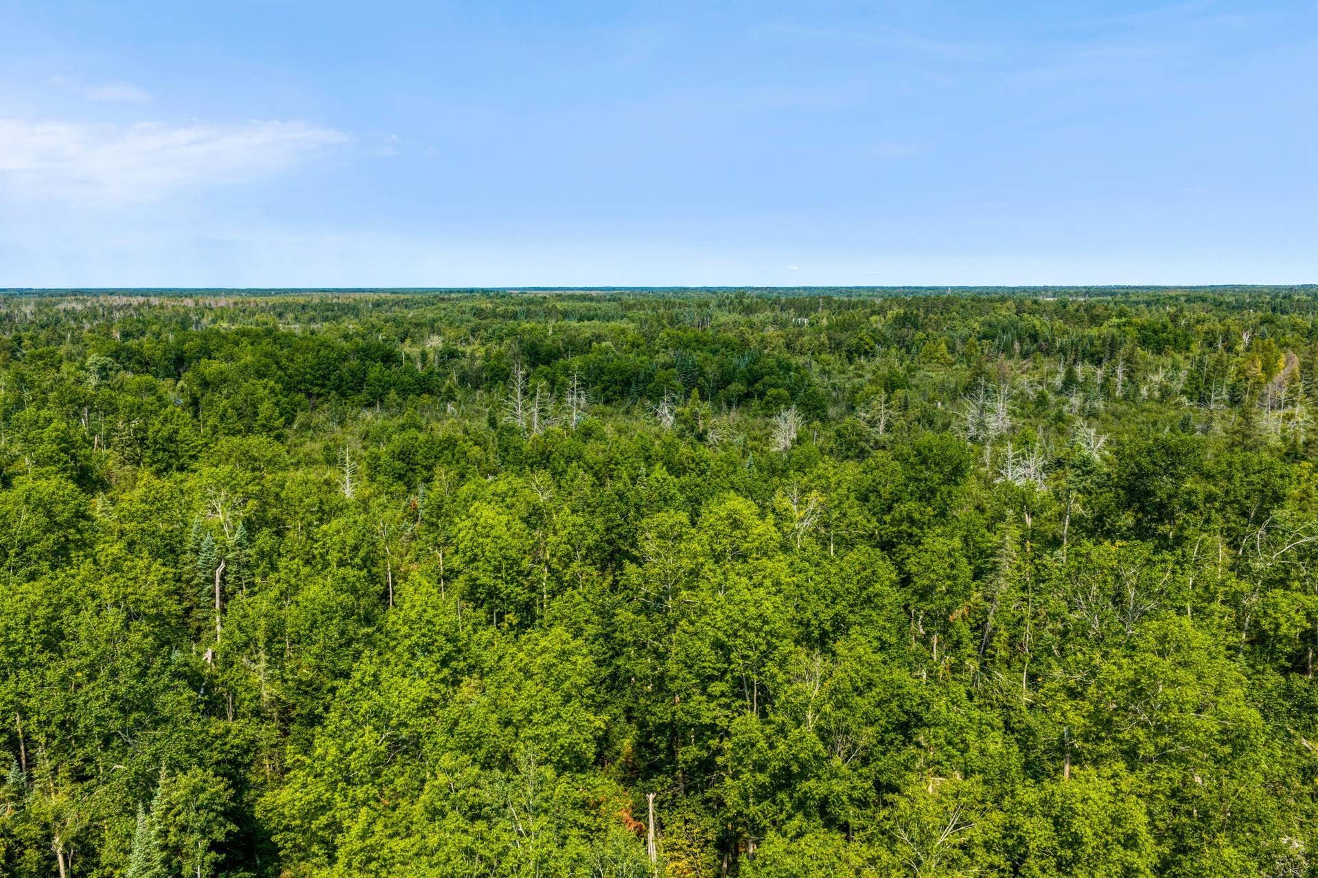 TBD Irvine Avenue, Bemidji, MN 56601 DJI_20260810111515_0040_D.jpg