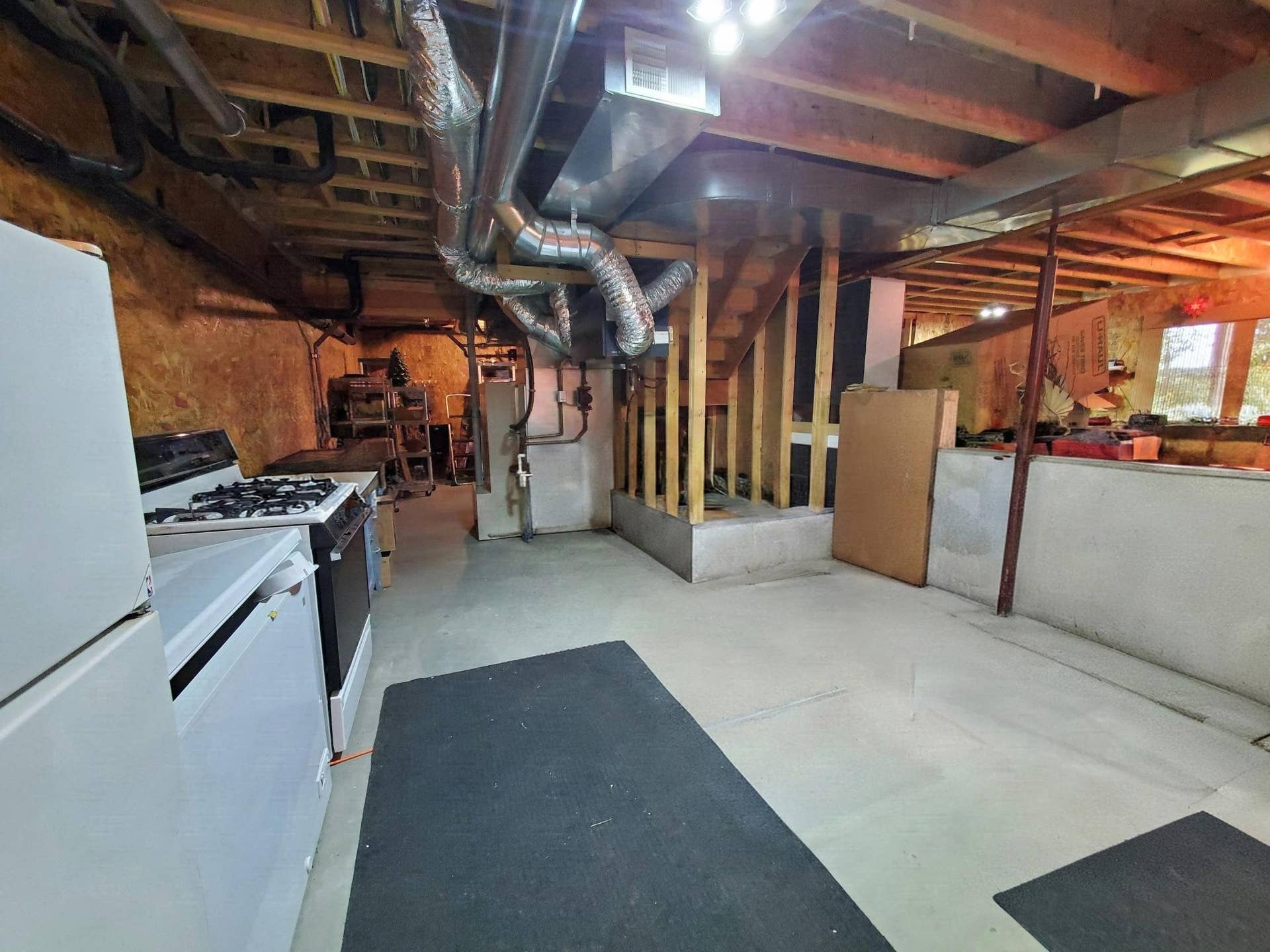 4050 Gryce Styne Road NE, Bemidji, MN 56601 lower level