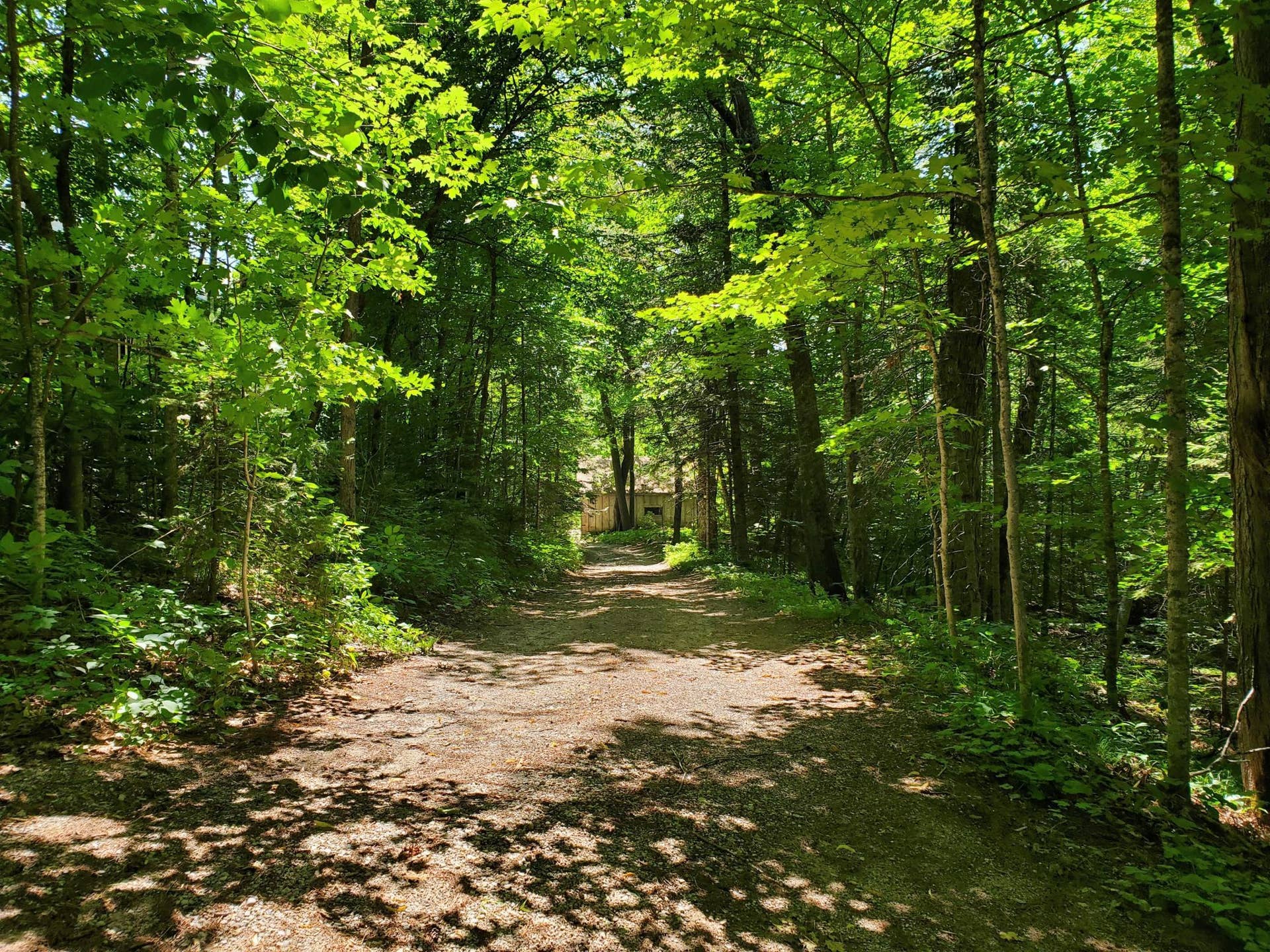 4050 Gryce Styne Road NE, Bemidji, MN 56601 to the lake