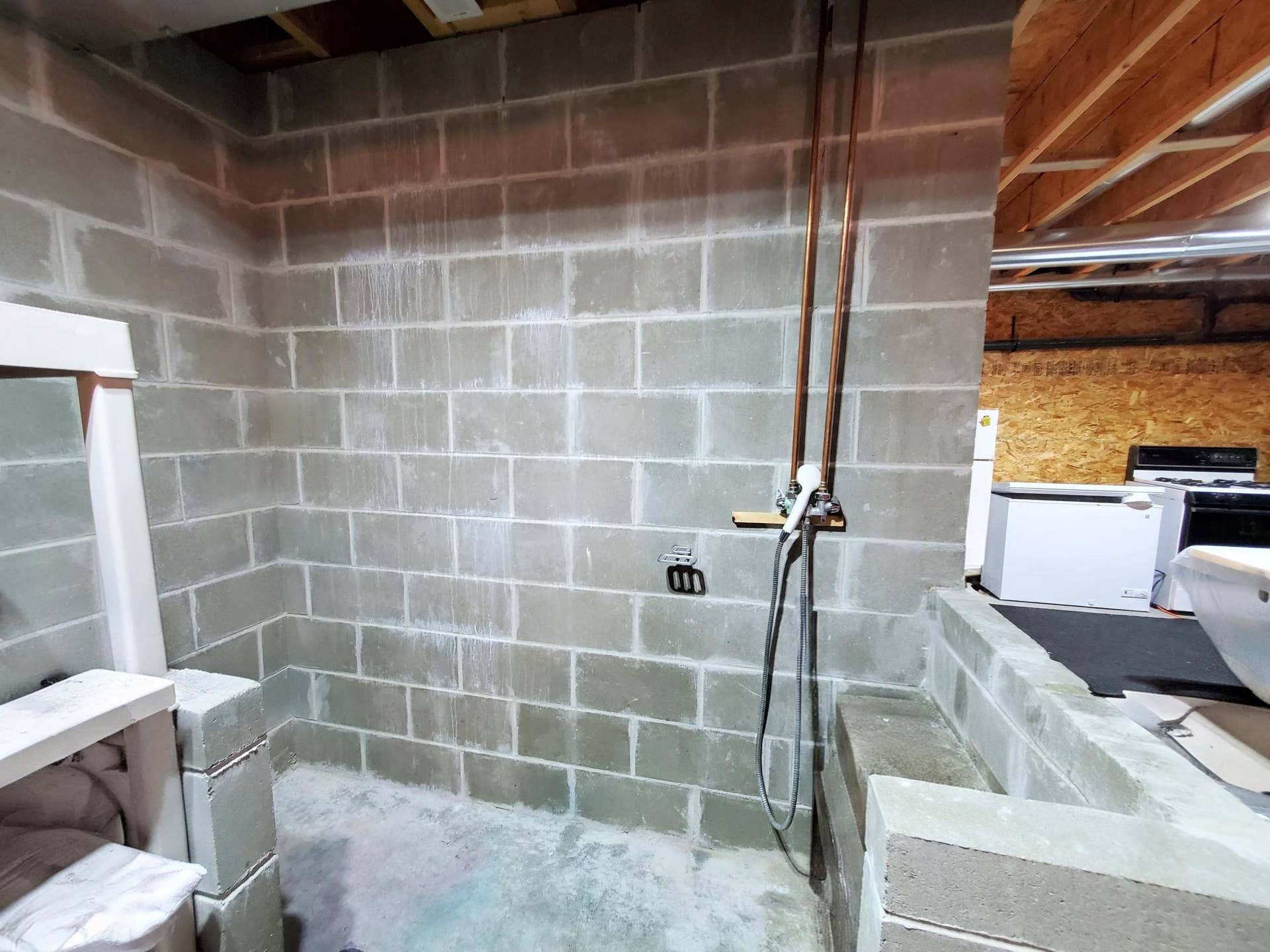 4050 Gryce Styne Road NE, Bemidji, MN 56601 shower or for pets