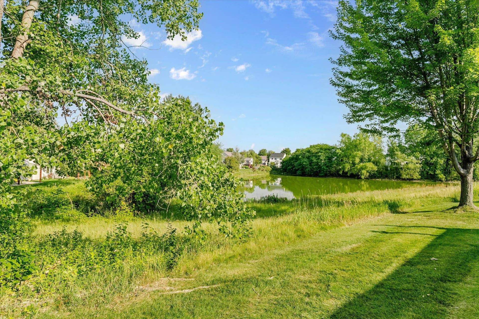 7856 Heinbuch Trail, Woodbury, MN 55125 40-Heinbuch.Trail (40).jpg