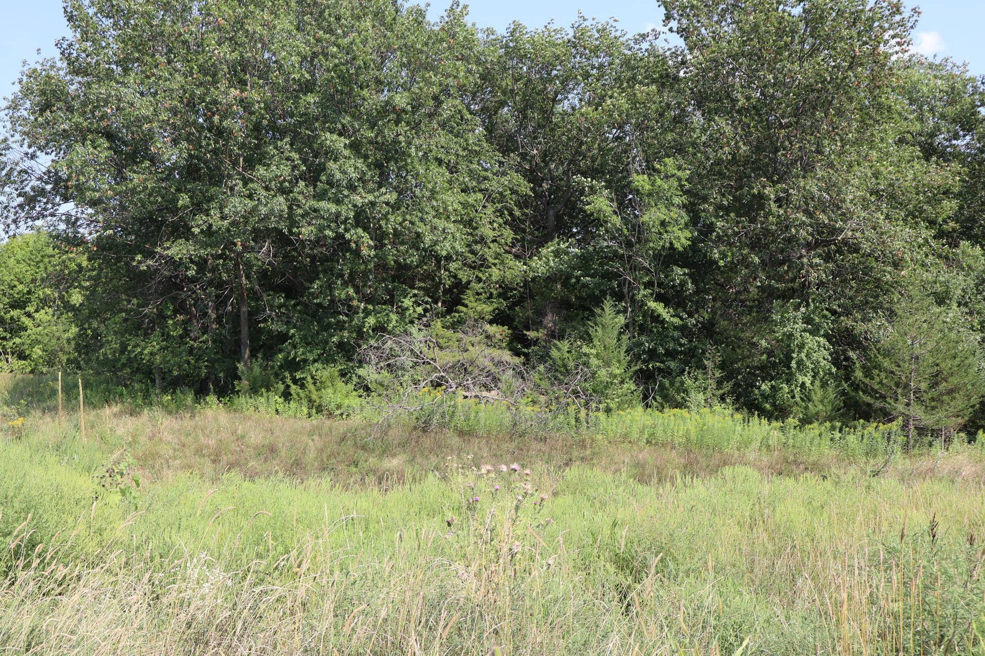 2011 Mulberry Lane, Carver, MN 55315 View from Backyard