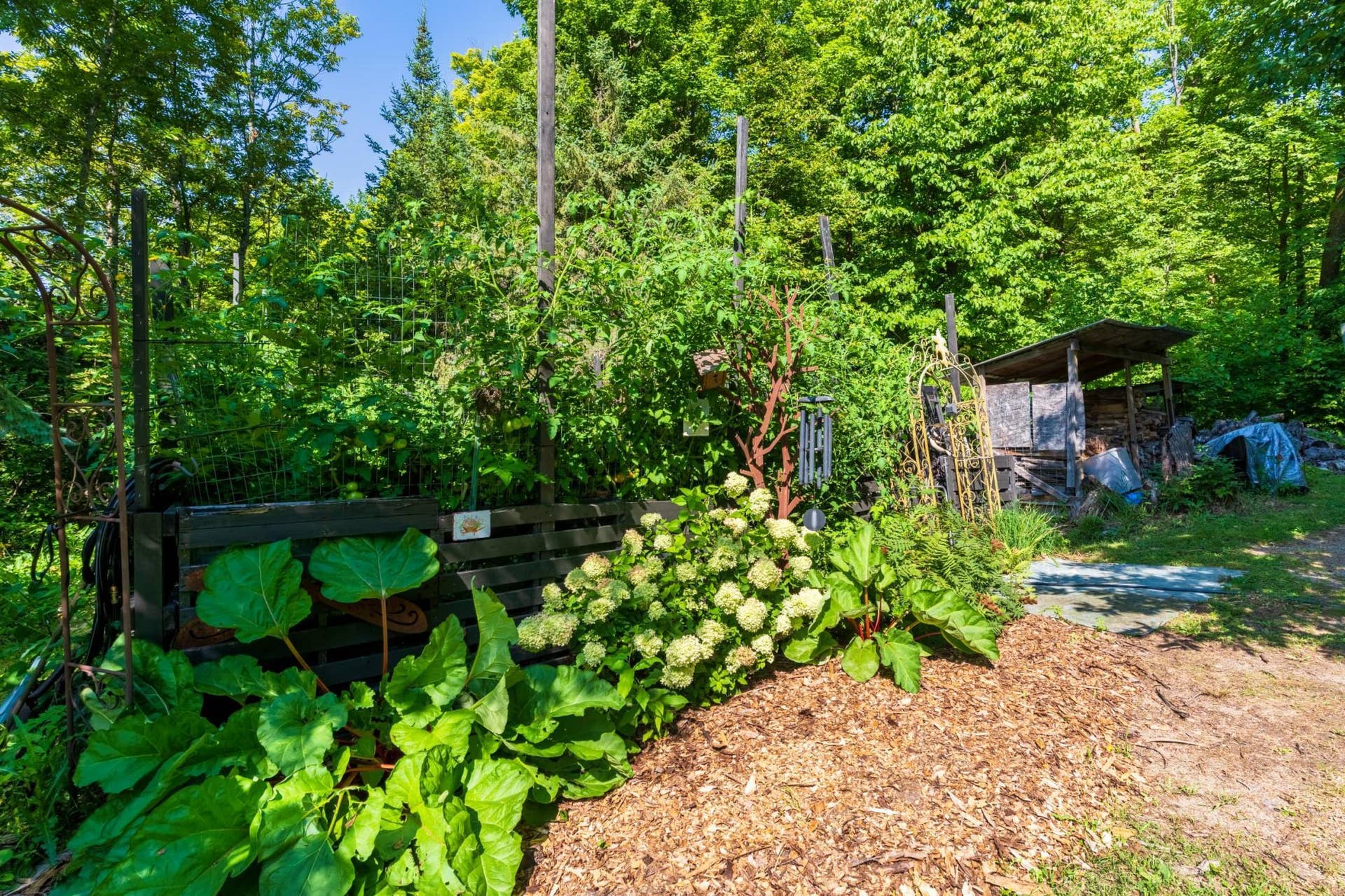 3216 Gryce Styne Road NE, Bemidji, MN 56601 A753972-HDR.jpeg