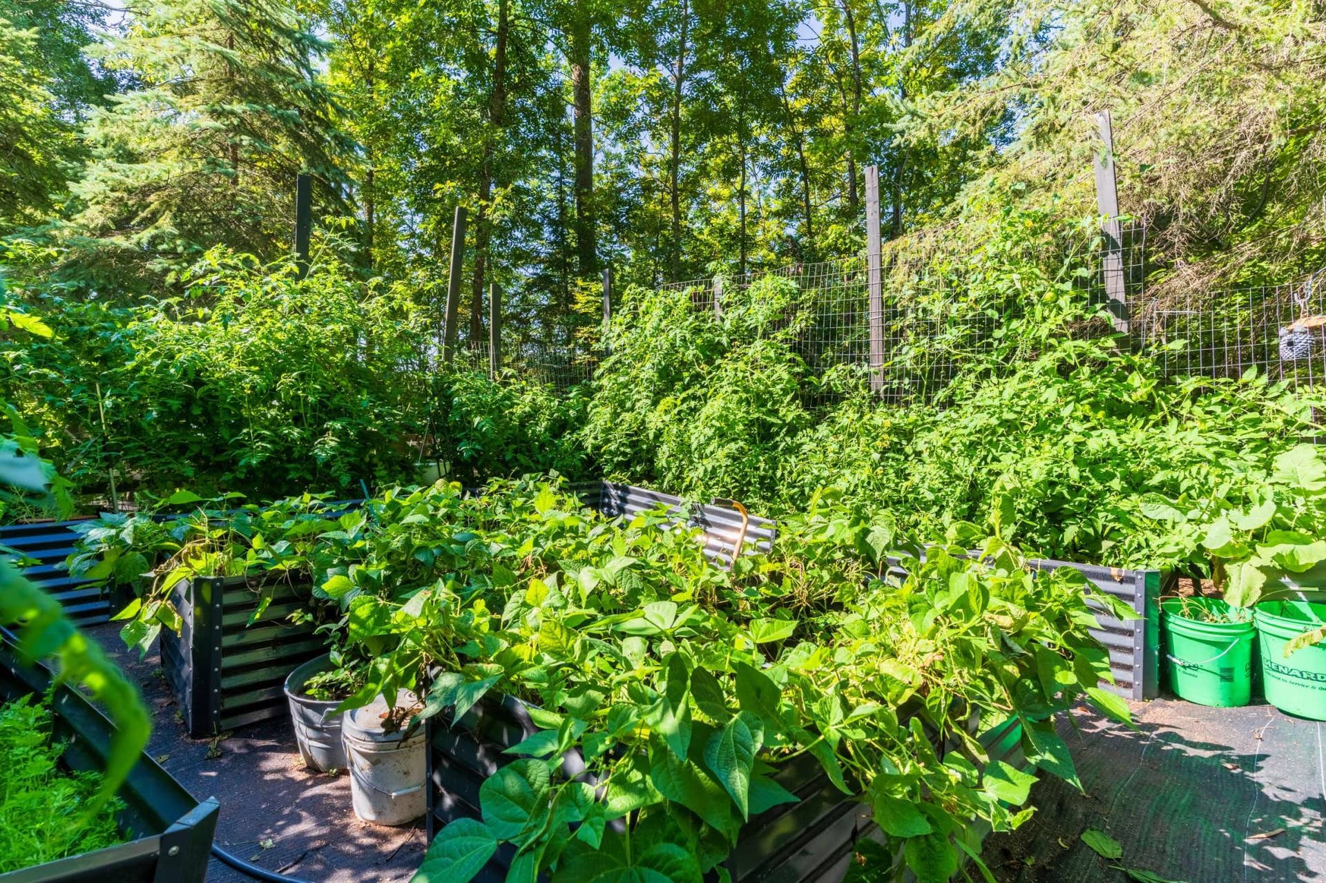 3216 Gryce Styne Road NE, Bemidji, MN 56601 A753982-HDR.jpeg