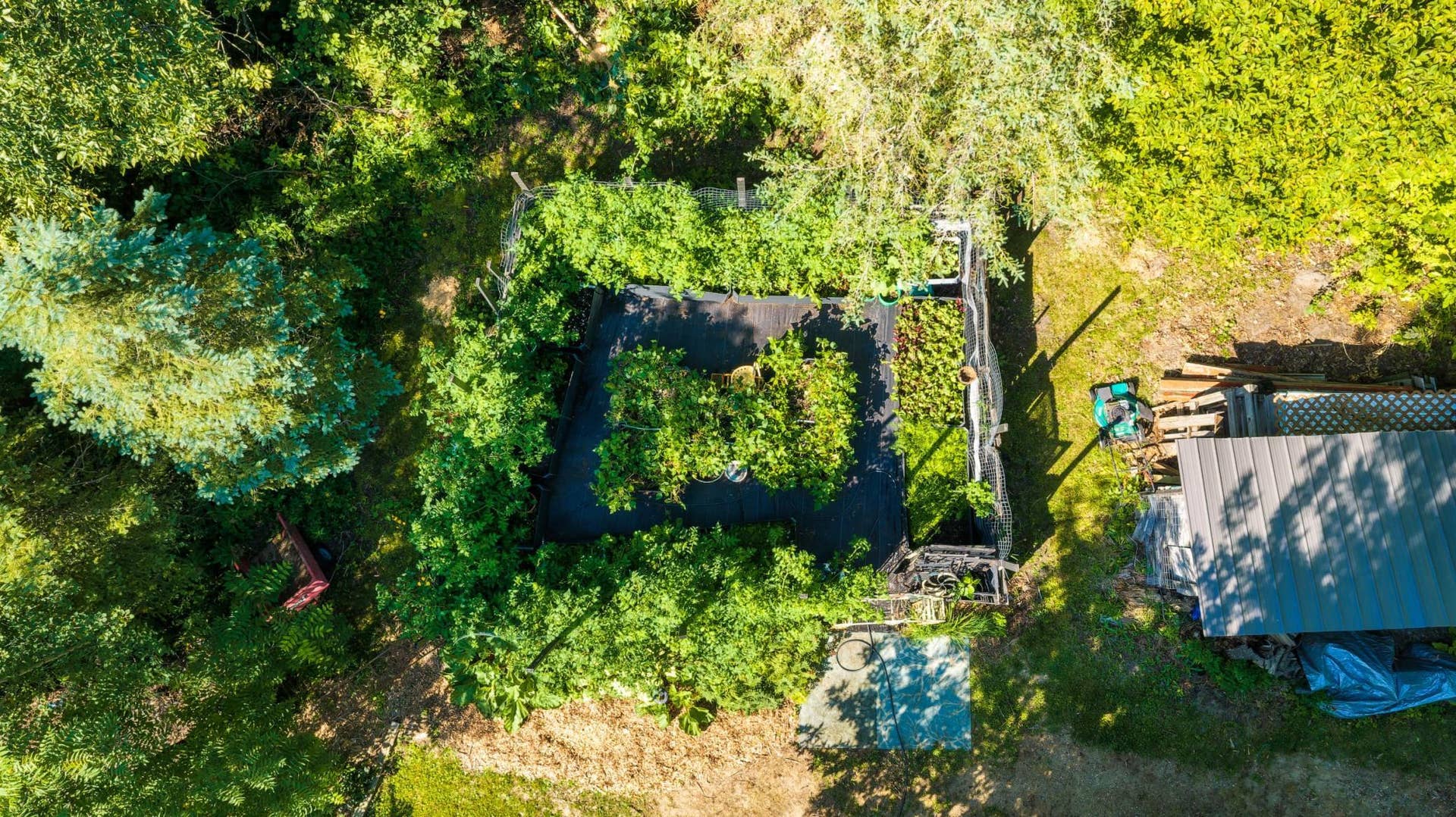 3216 Gryce Styne Road NE, Bemidji, MN 56601 DJI_20260825105305_0927_D-HDR.jpeg