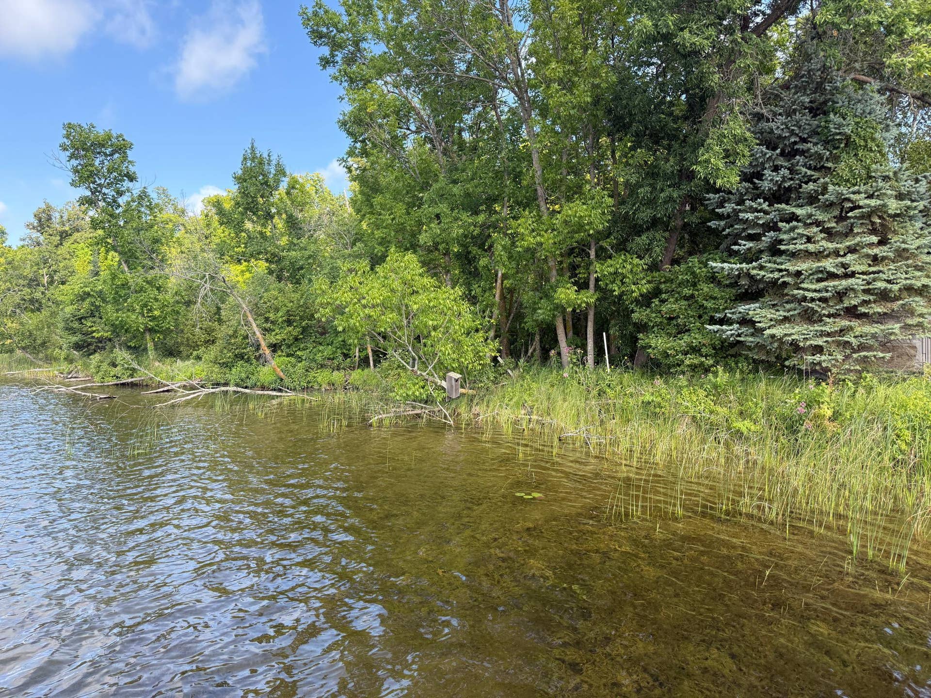 TBD NE Gryce Styne Road NE, Bemidji, MN 56601 IMG_7263.JPG