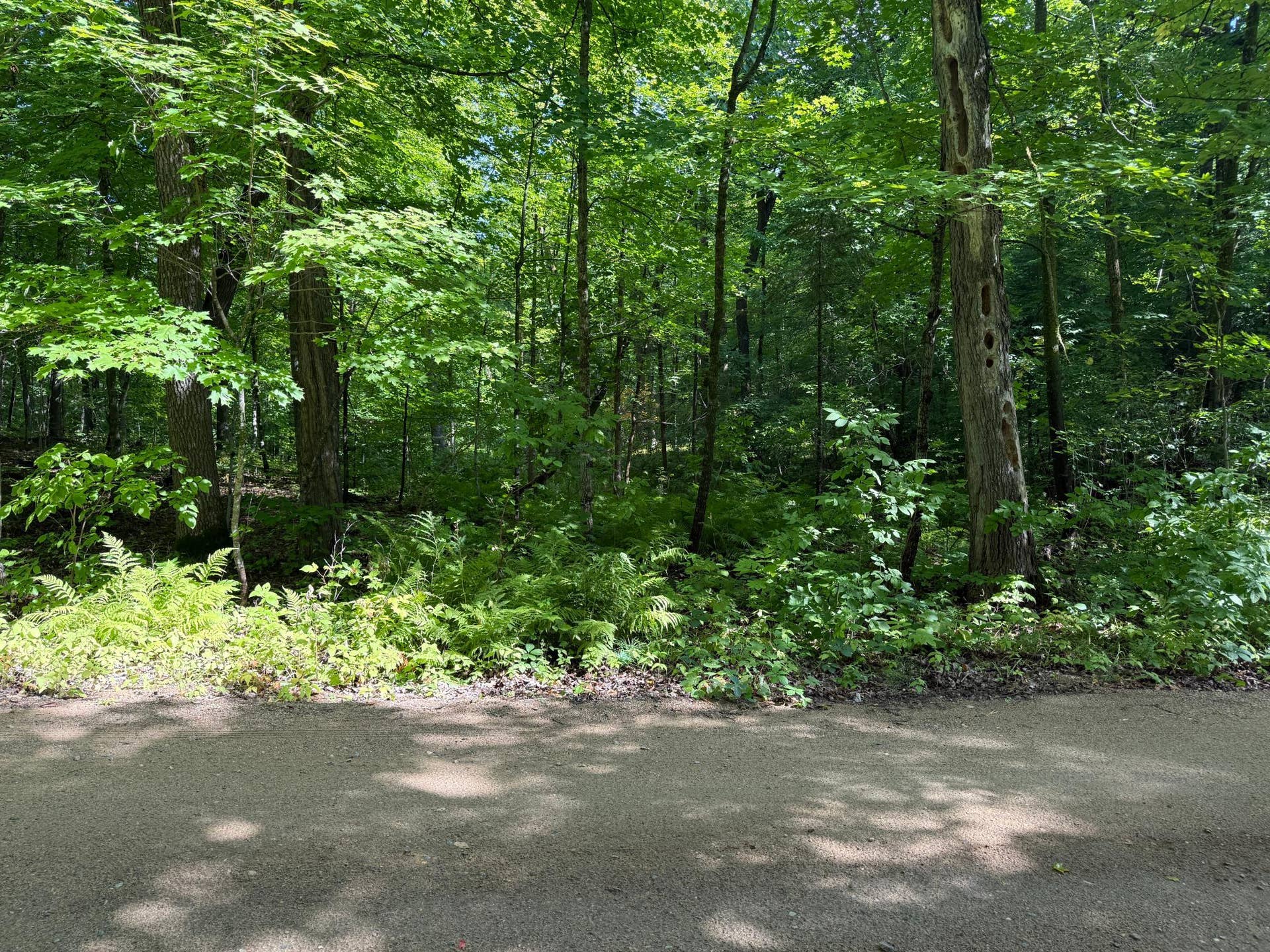 TBD NE Gryce Styne Road NE, Bemidji, MN 56601 IMG_7268.JPG