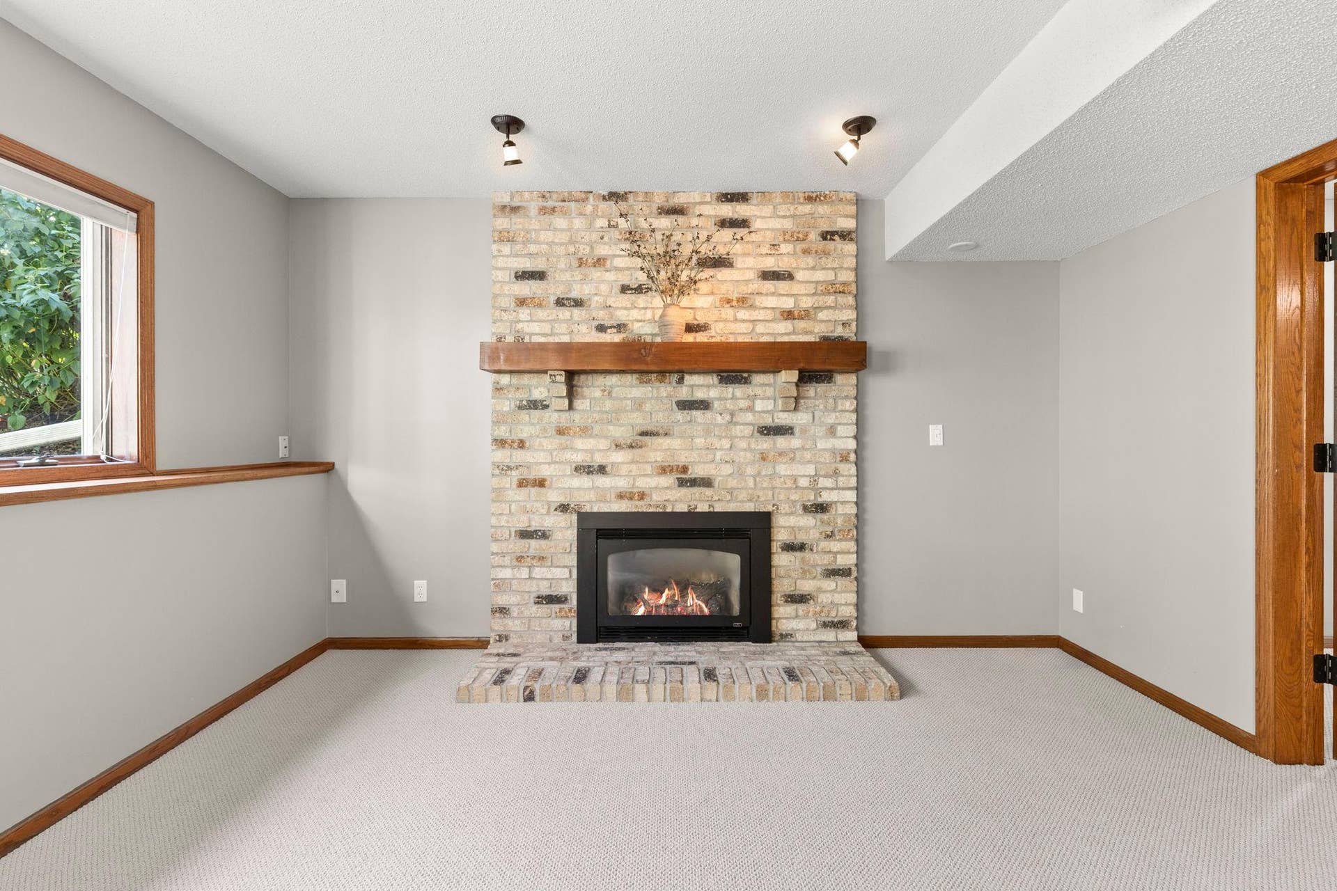 3563 Rae Lane, Woodbury, MN 55125 Gas fireplace