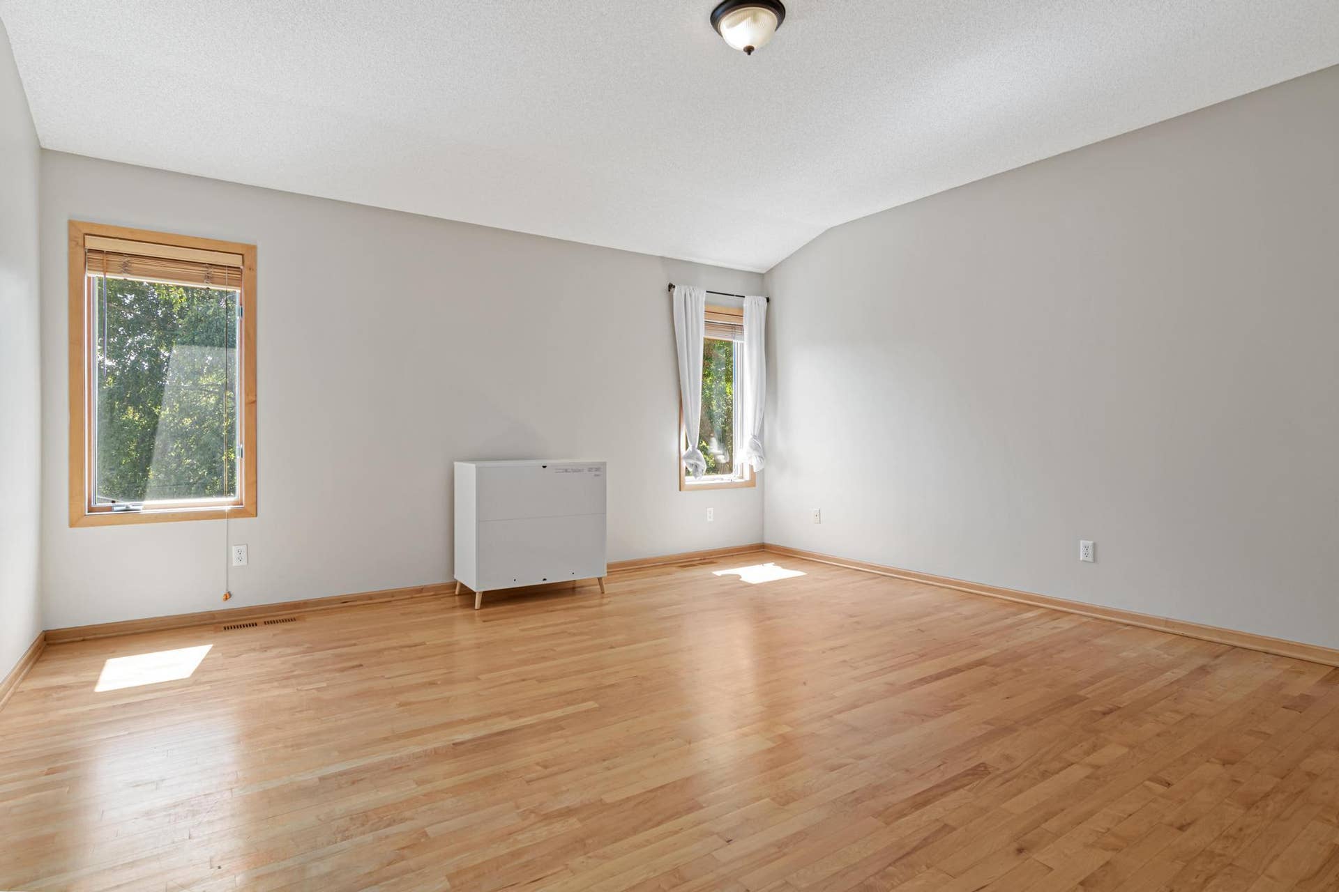 2417 87th Trail N, Brooklyn Park, MN 55443 2417 87th Trail N-37.jpg