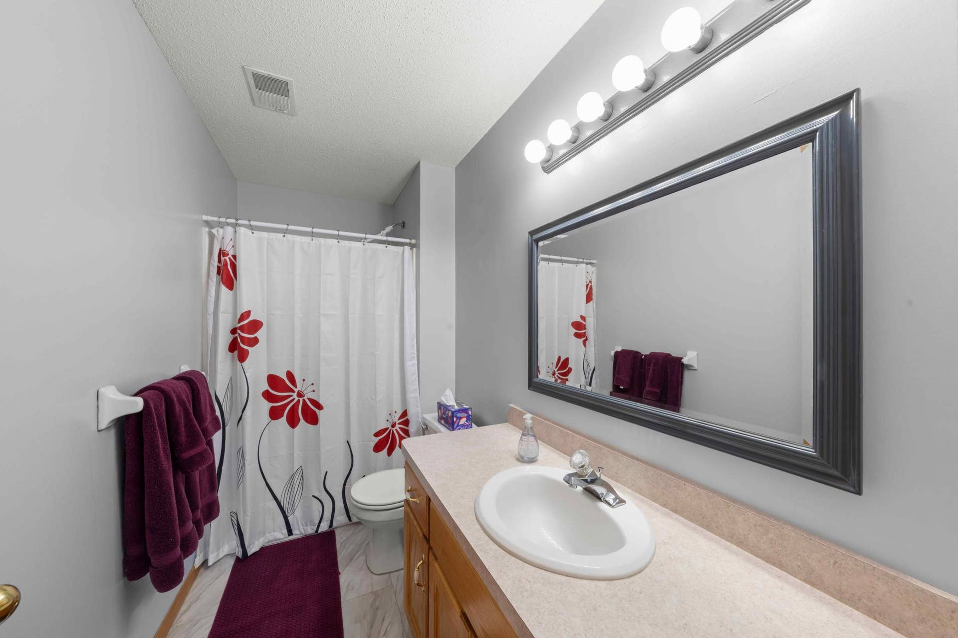4919 132nd Way N, Hugo, MN 55038 Lower level bathroom.jpg