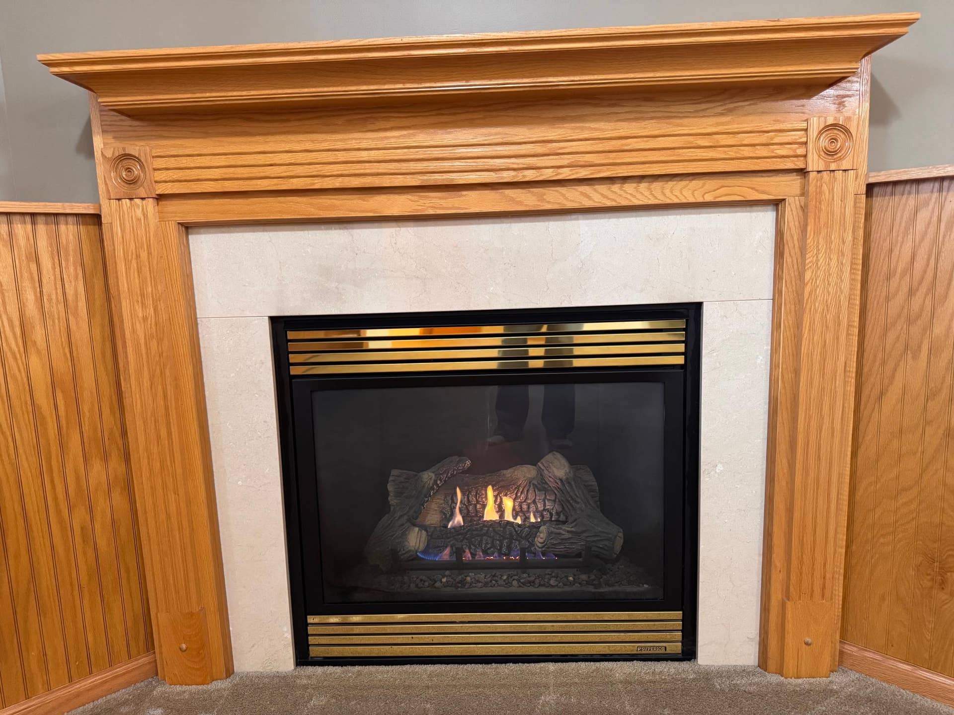 4919 132nd Way N, Hugo, MN 55038 Family Room gas fireplace.jpeg