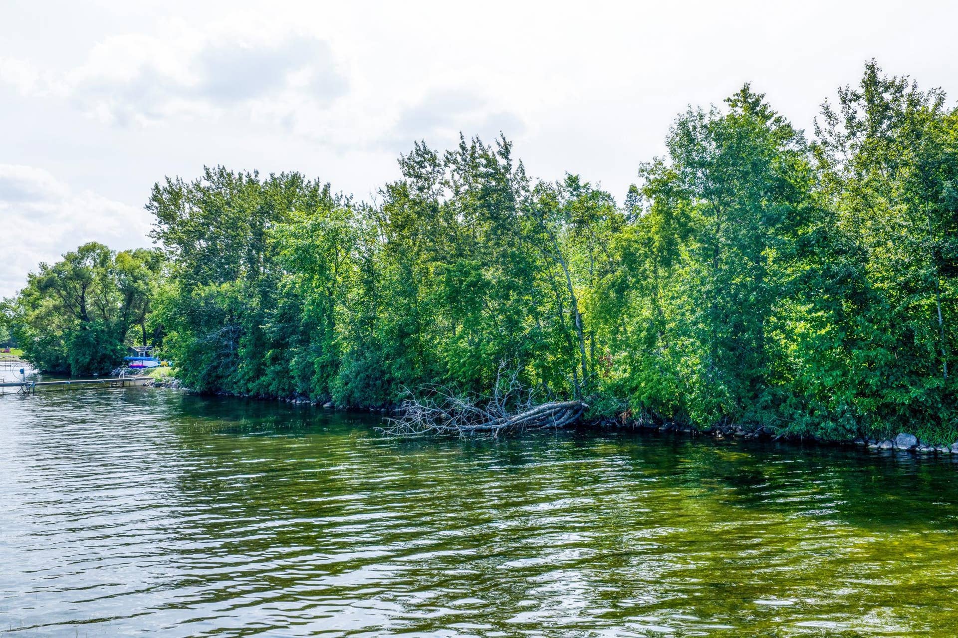 TBD Birchmont Drive NE, Bemidji, MN 56601 Lake Bemidji Shoreline.jpg