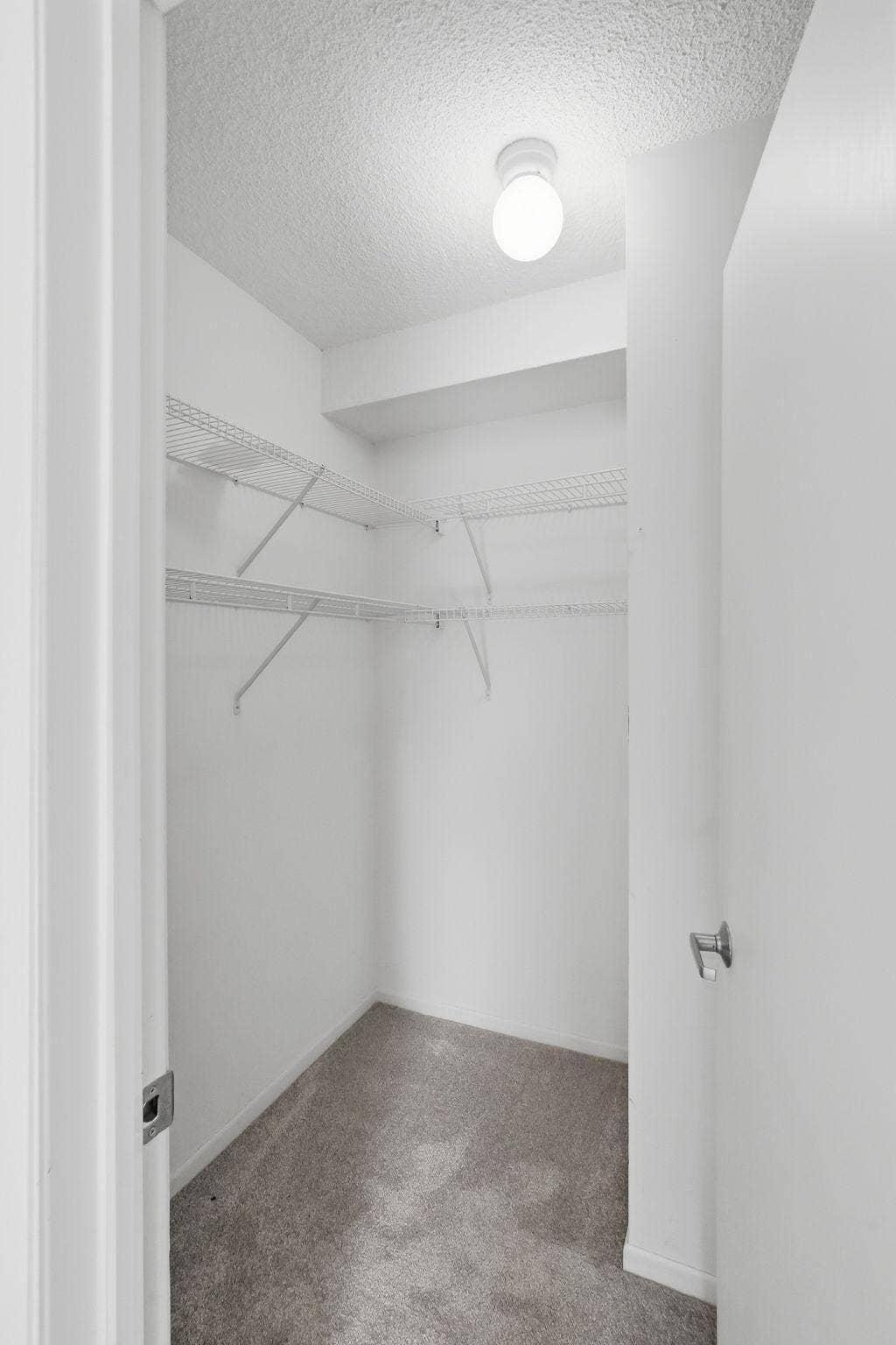 401 S 1st Street, #1103, 19, Minneapolis, MN 55401 Bedroom Closet