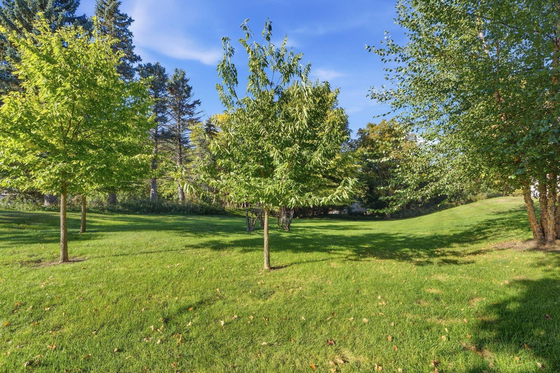 7294 Vista Court, Eden Prairie, MN 55346 View from Patio