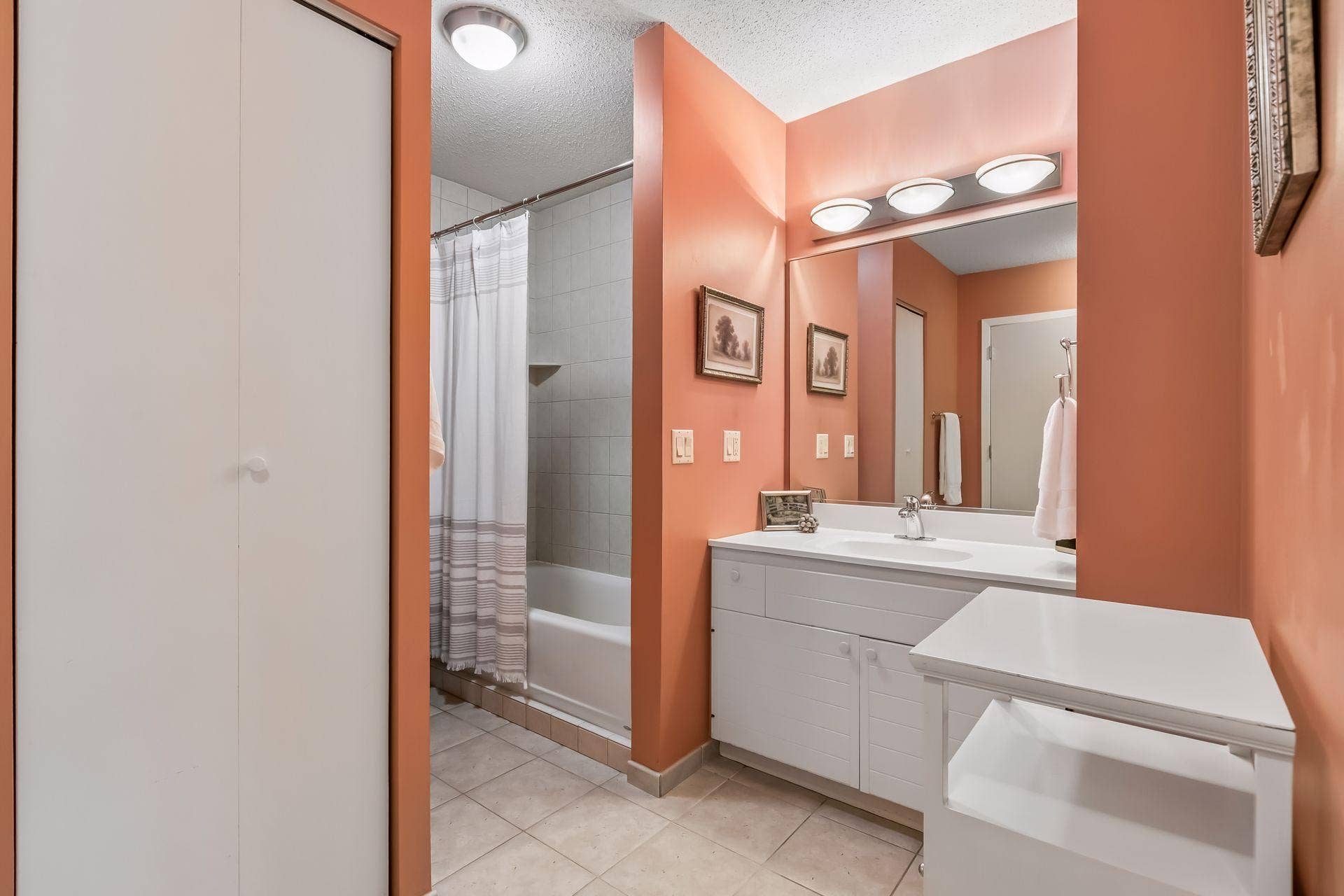 1200 Nicollet Mall, #221, 45, Minneapolis, MN 55403 Upstairs Full Bath (2 entry doors)