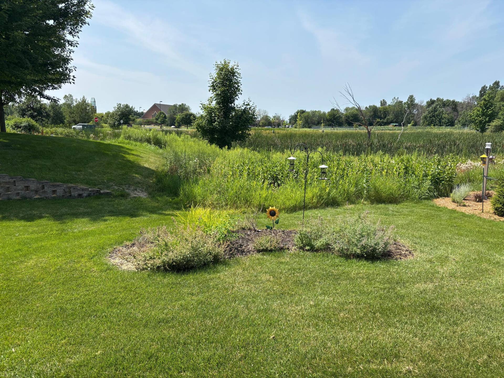 7417 Shadyview Lane N, Maple Grove, MN 55311 Personal butterfly garden