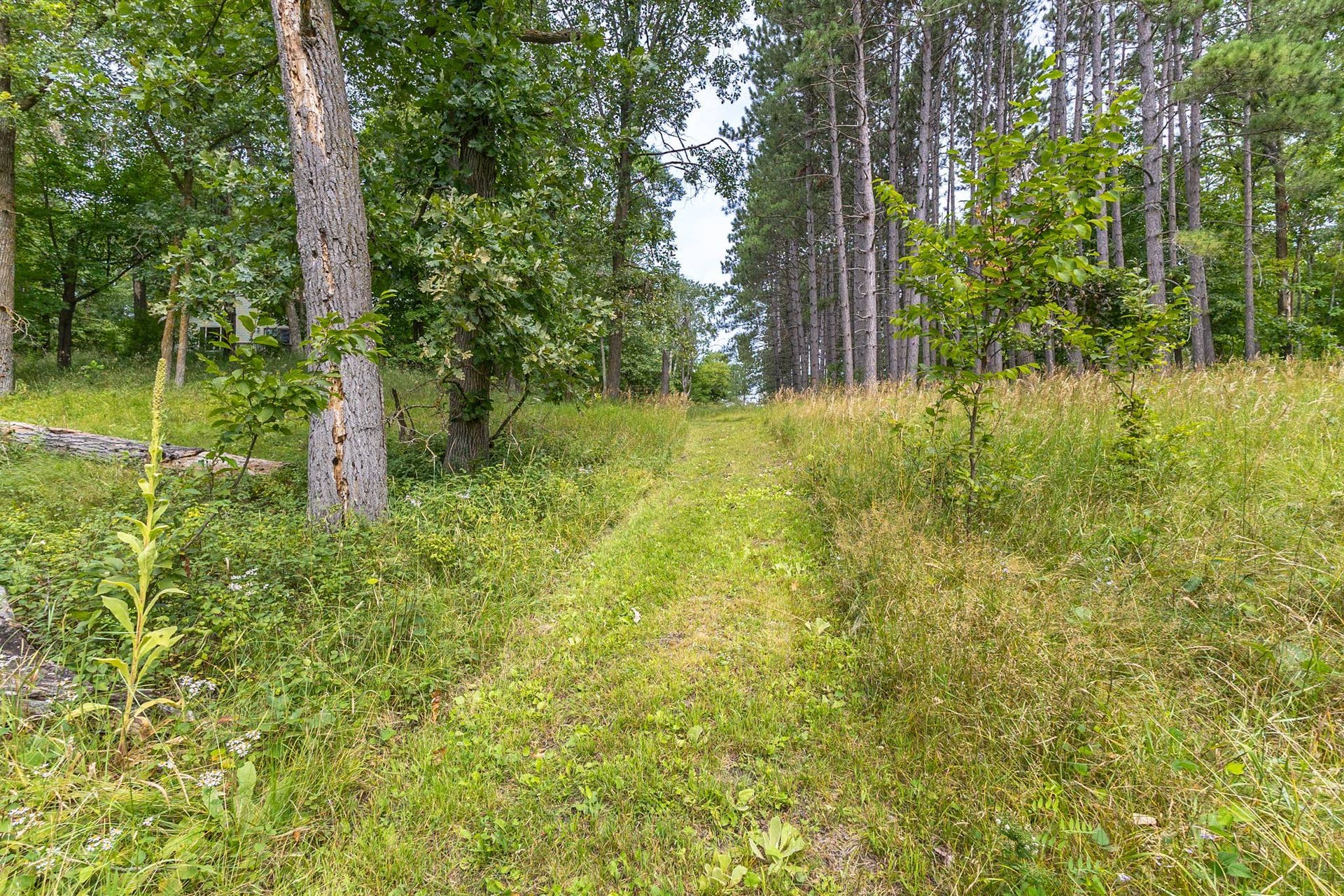 4950 Sherman Drive NE, Bemidji, MN 56601 Sherman Drive-36.jpg
