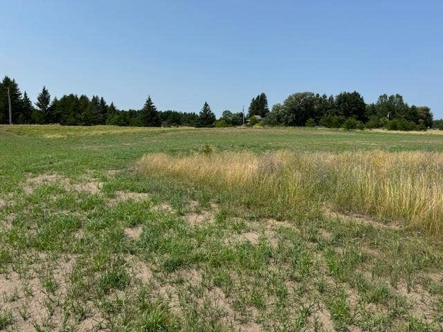 TBD Buchanan Avenue SW, Bemidji, MN 56601 IMG_3270.jpg