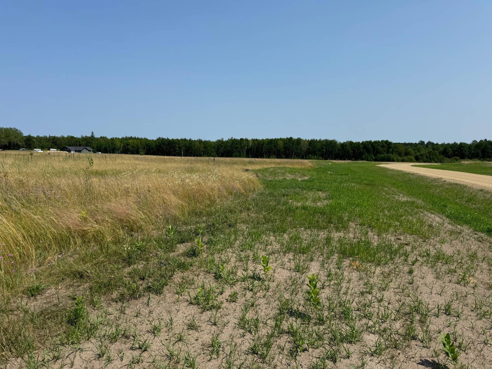 Lot 10 Prairie View Court SW, Bemidji, MN 56601 IMG_3271.jpeg