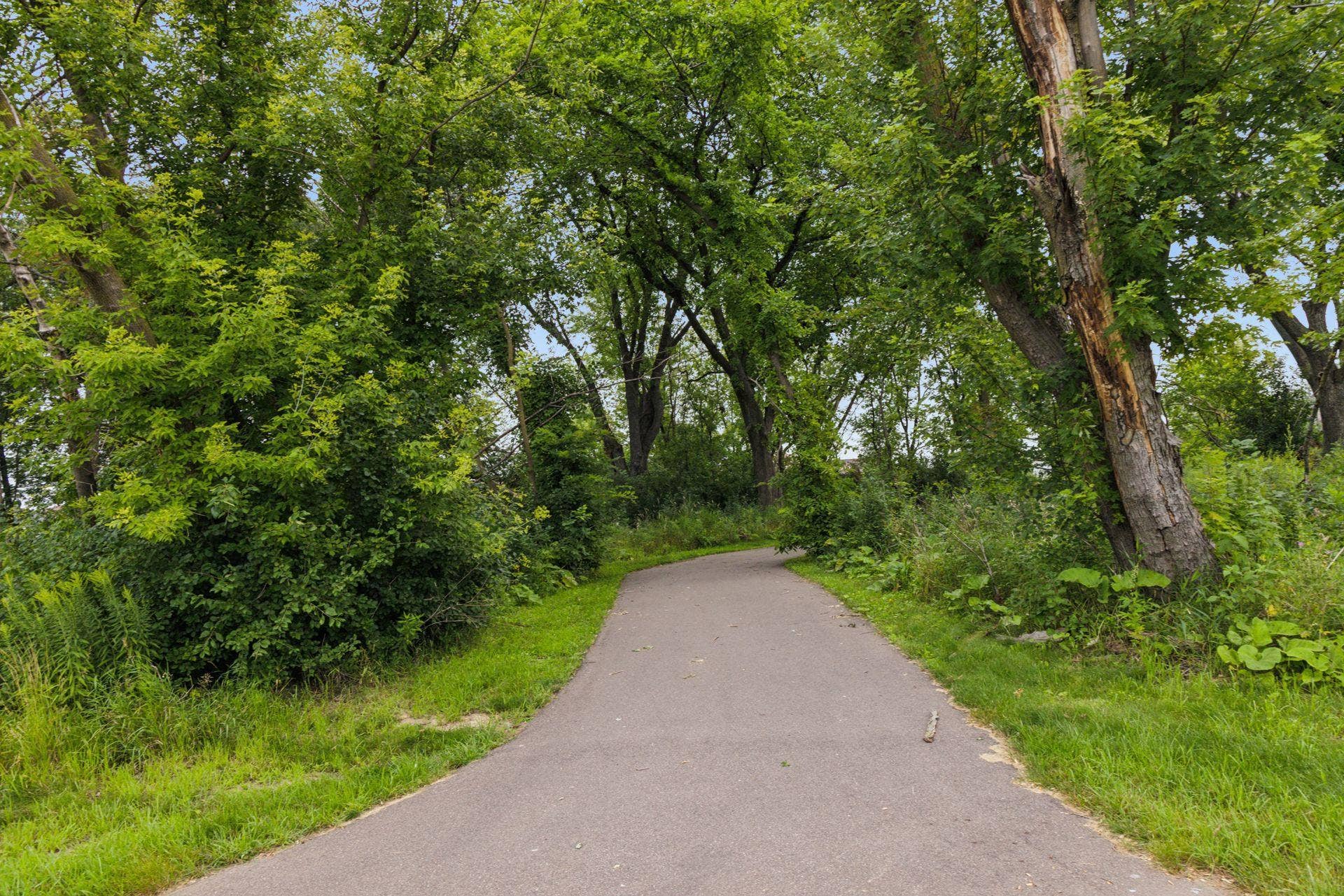 4297 Corn Silk Lane, Woodbury, MN 55129 Park trail