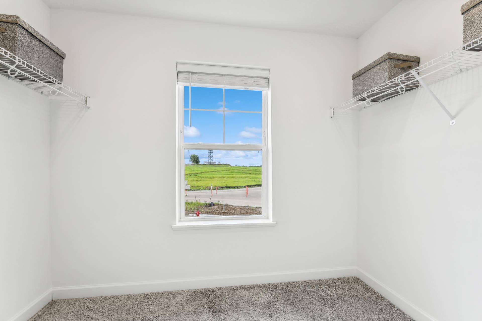 5431 Long Pointe Pass, Woodbury, MN 55129 (Photo of a model home, actual homes finishes will vary) Huge Owner's suite closet!