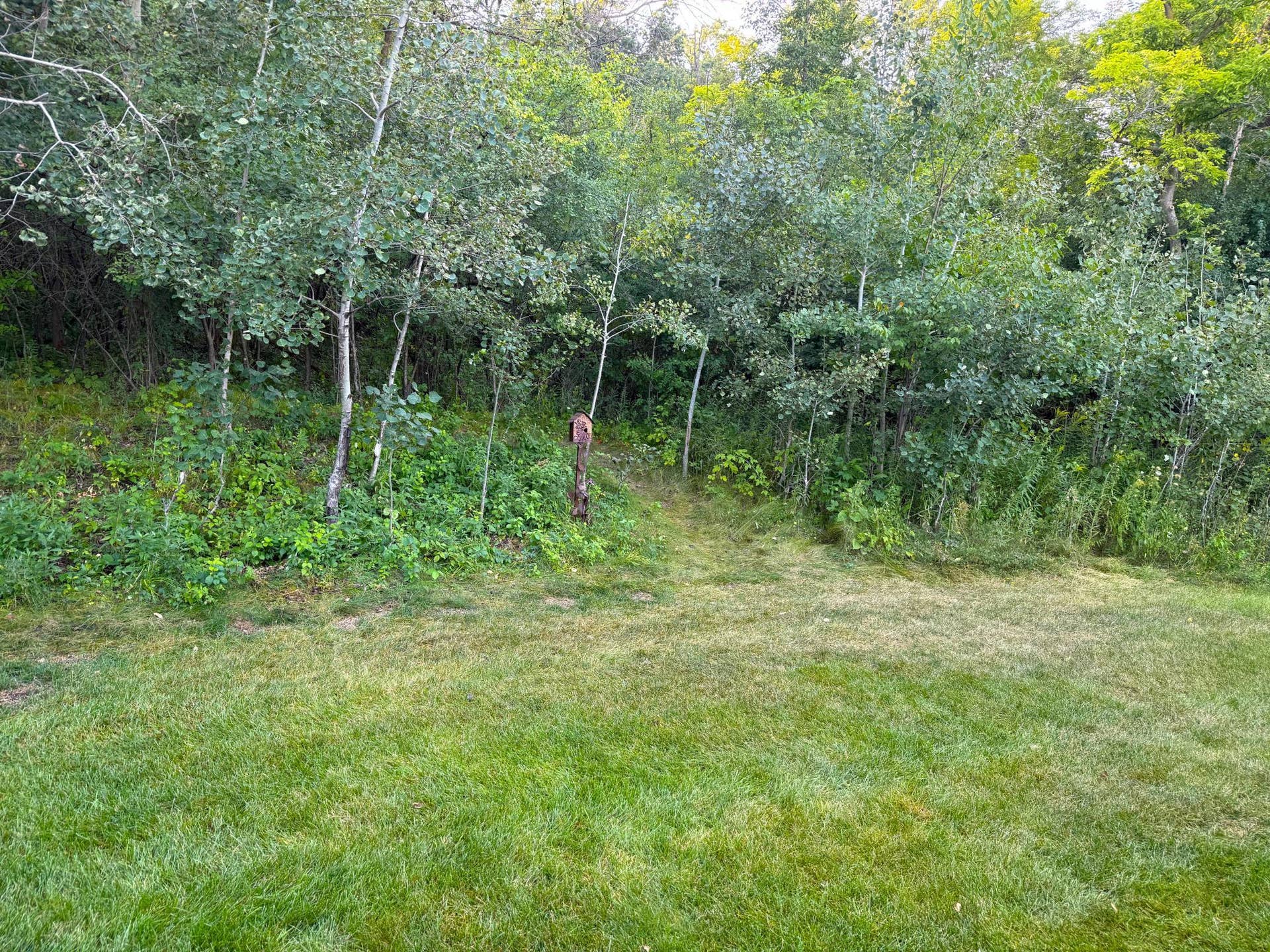 1148 Hewitt Boulevard, Red Wing, MN 55066 IMG_0447.jpeg
