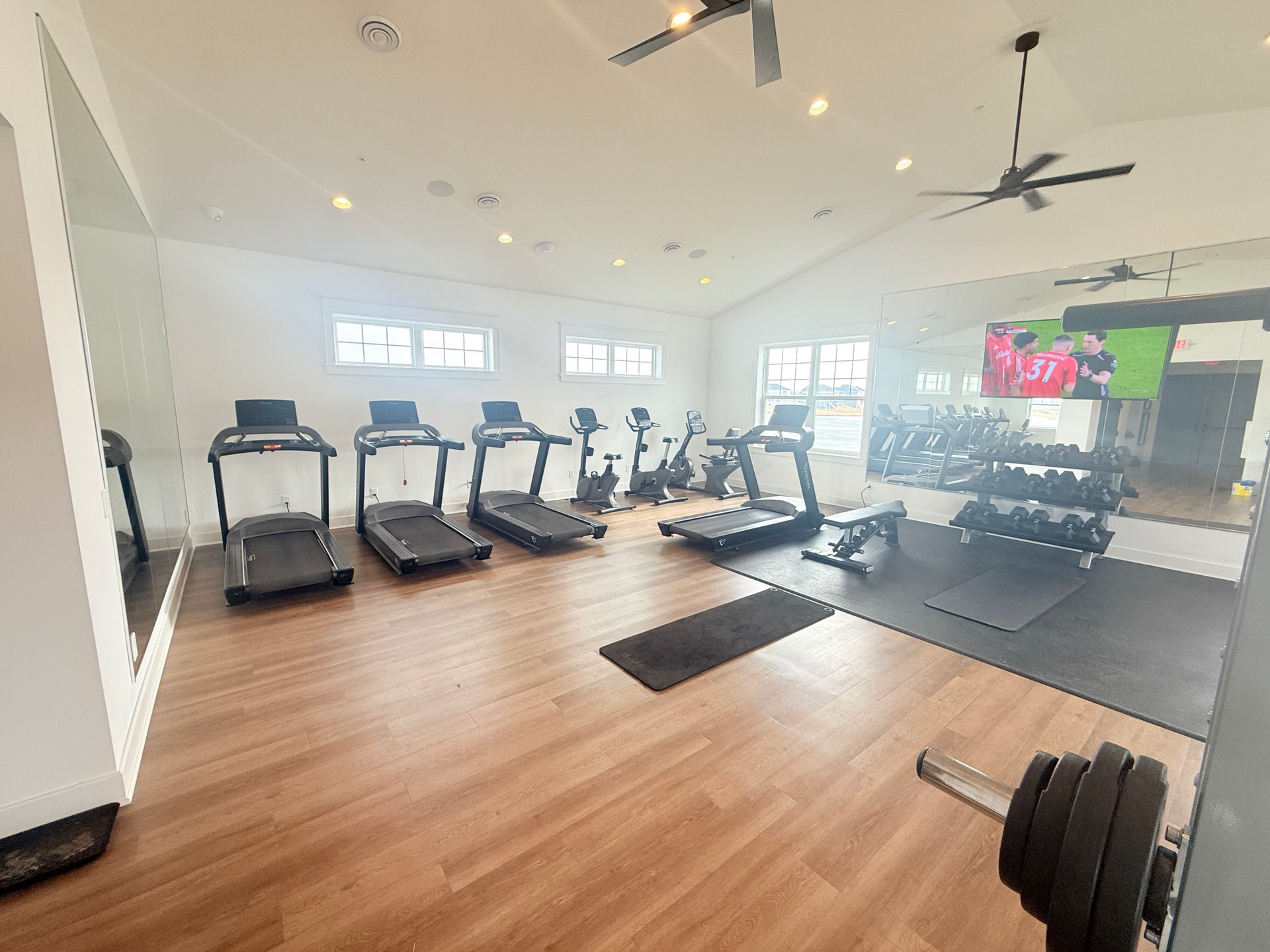 7238 Dora Drive, Hugo, MN 55038 Fitness area