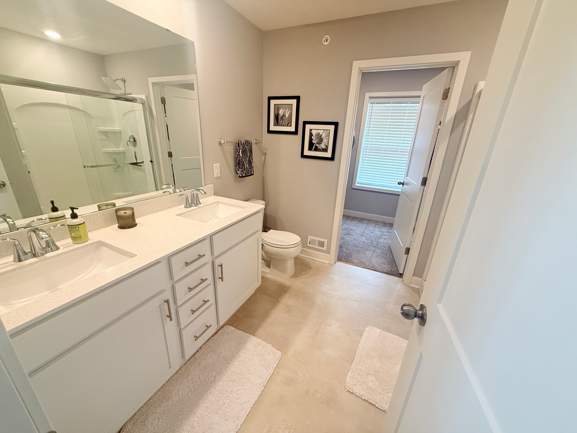 7238 Dora Drive, Hugo, MN 55038 Light and bright primary bath.
