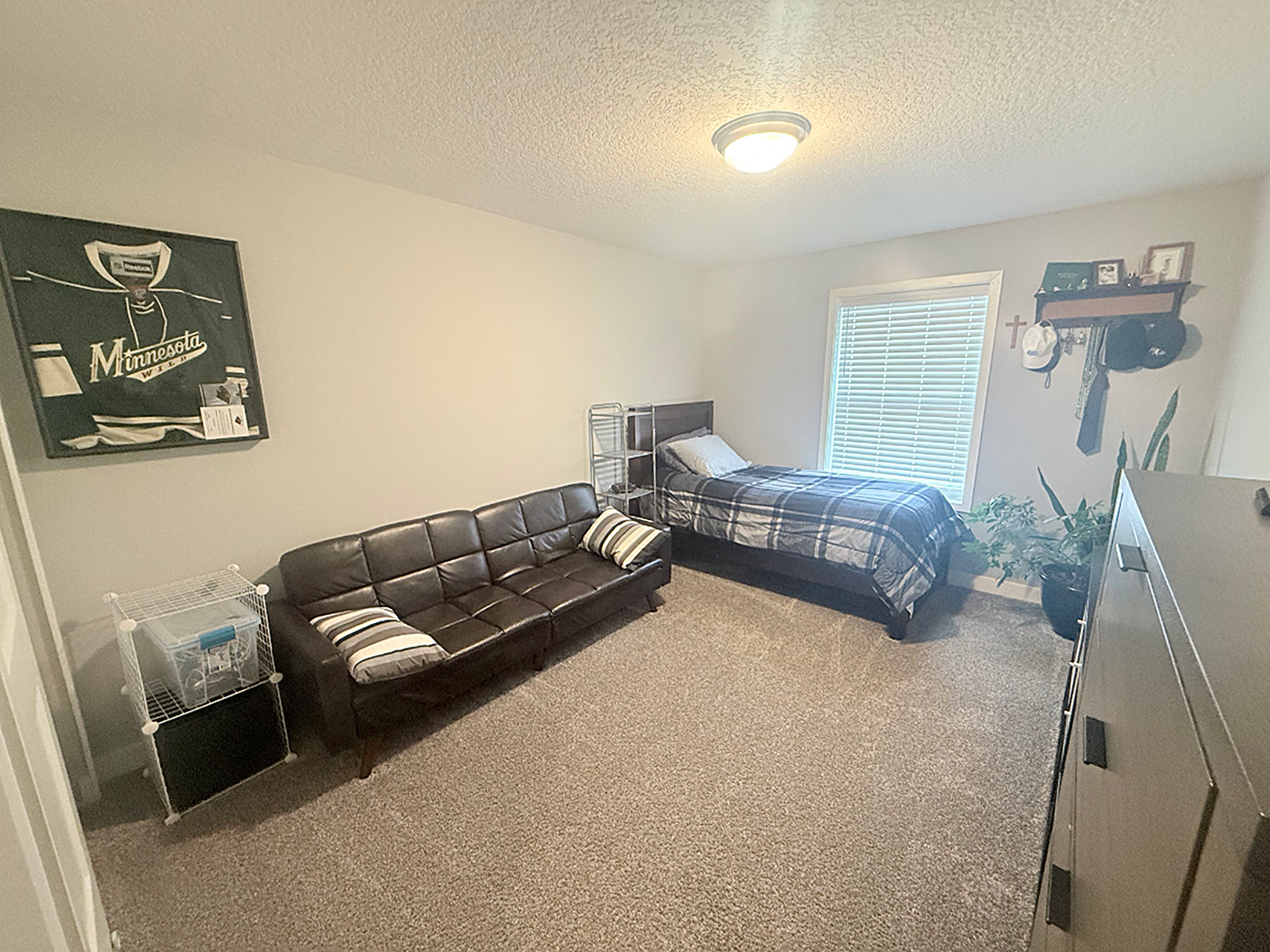 7238 Dora Drive, Hugo, MN 55038 Bedroom #3