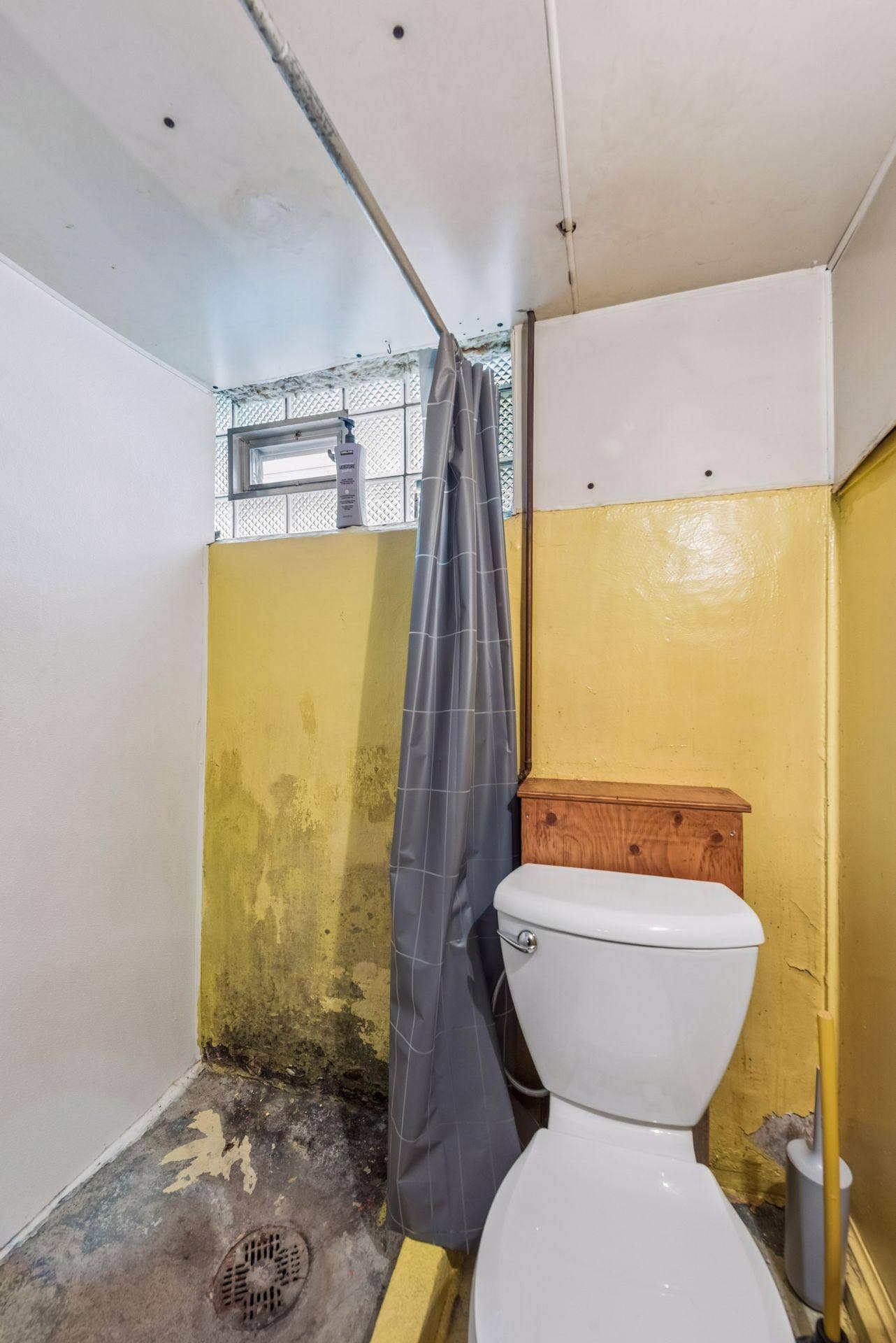 Lower level toilet