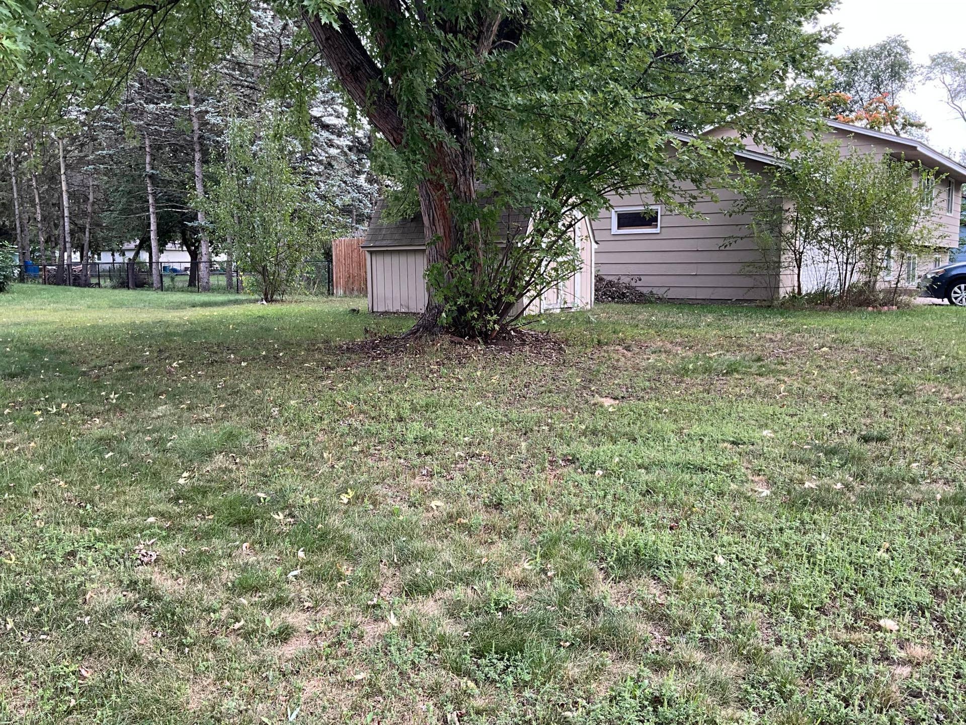 7308 Fremont Avenue N, Brooklyn Park, MN 55444 IMG_0584.jpeg