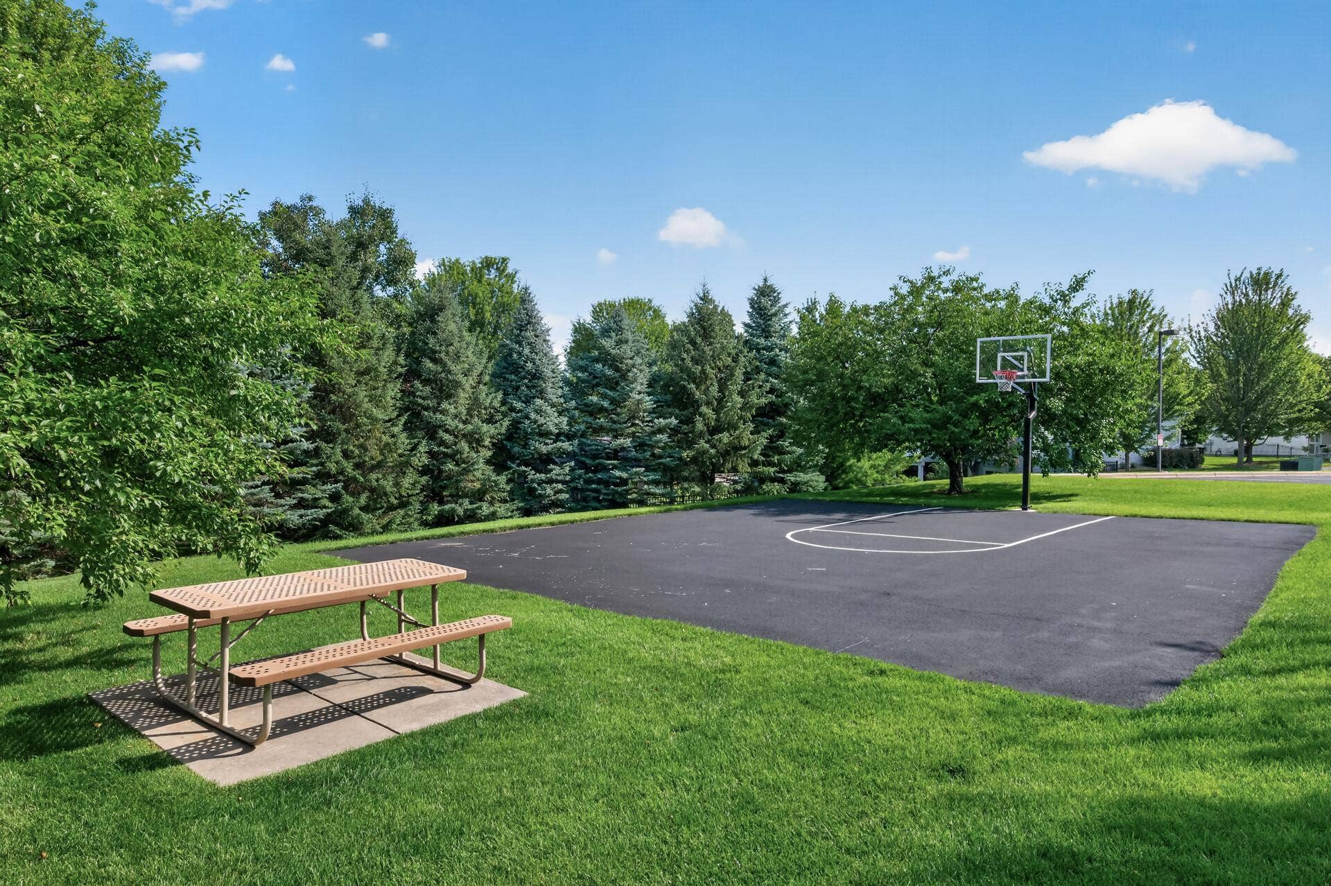 11631 Prospect Curve, Woodbury, MN 55129 Summer days can be spent shooting hoops at the community basketball court!
