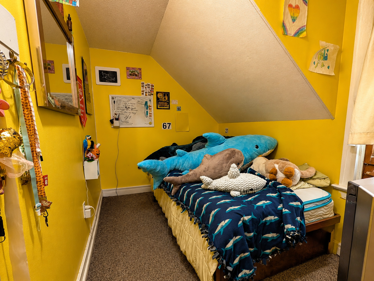 1017 N 6th Street, Mankato, MN 56001 1017 N 6th_42.png