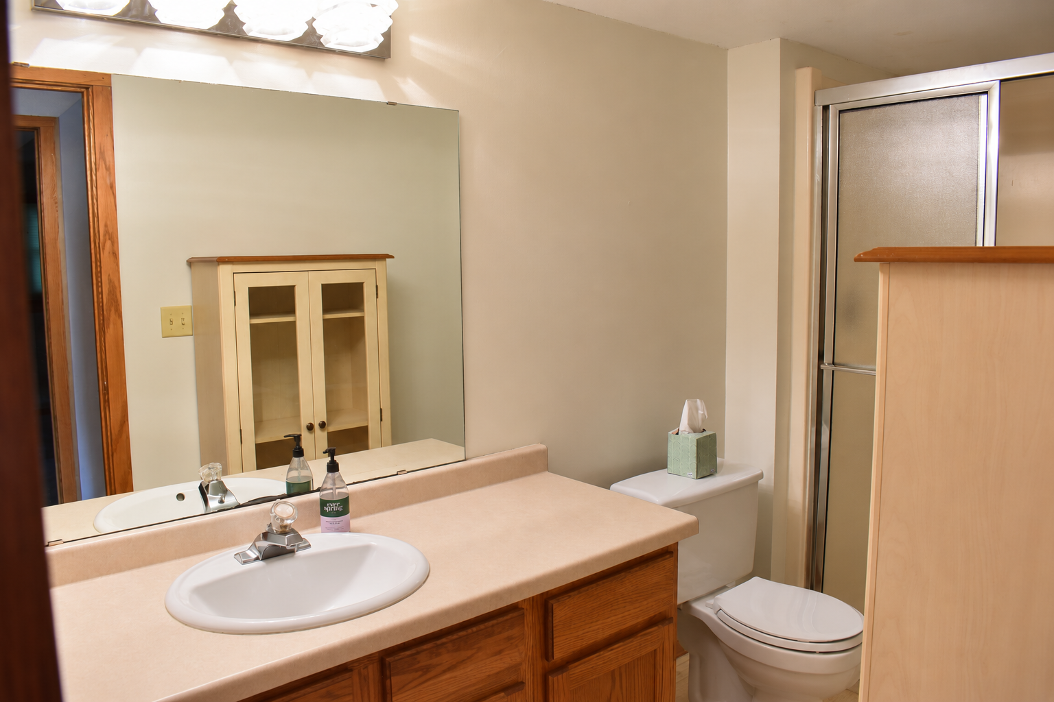 Lower level bathroom.png