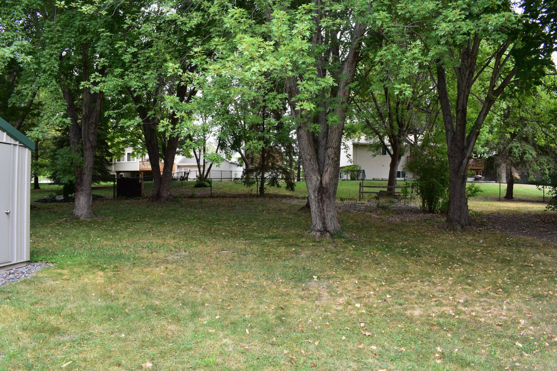 Back yard.JPG