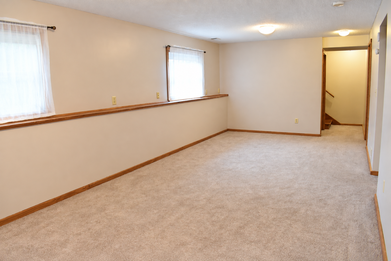 Lower level family room.png